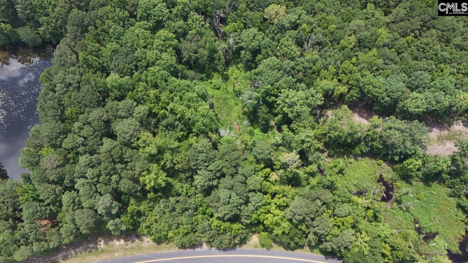Henry Road Neeses, SC 29107