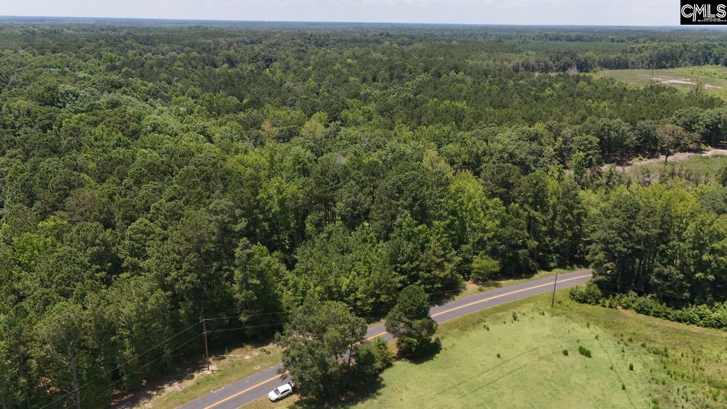 Henry Road Neeses, SC 29107