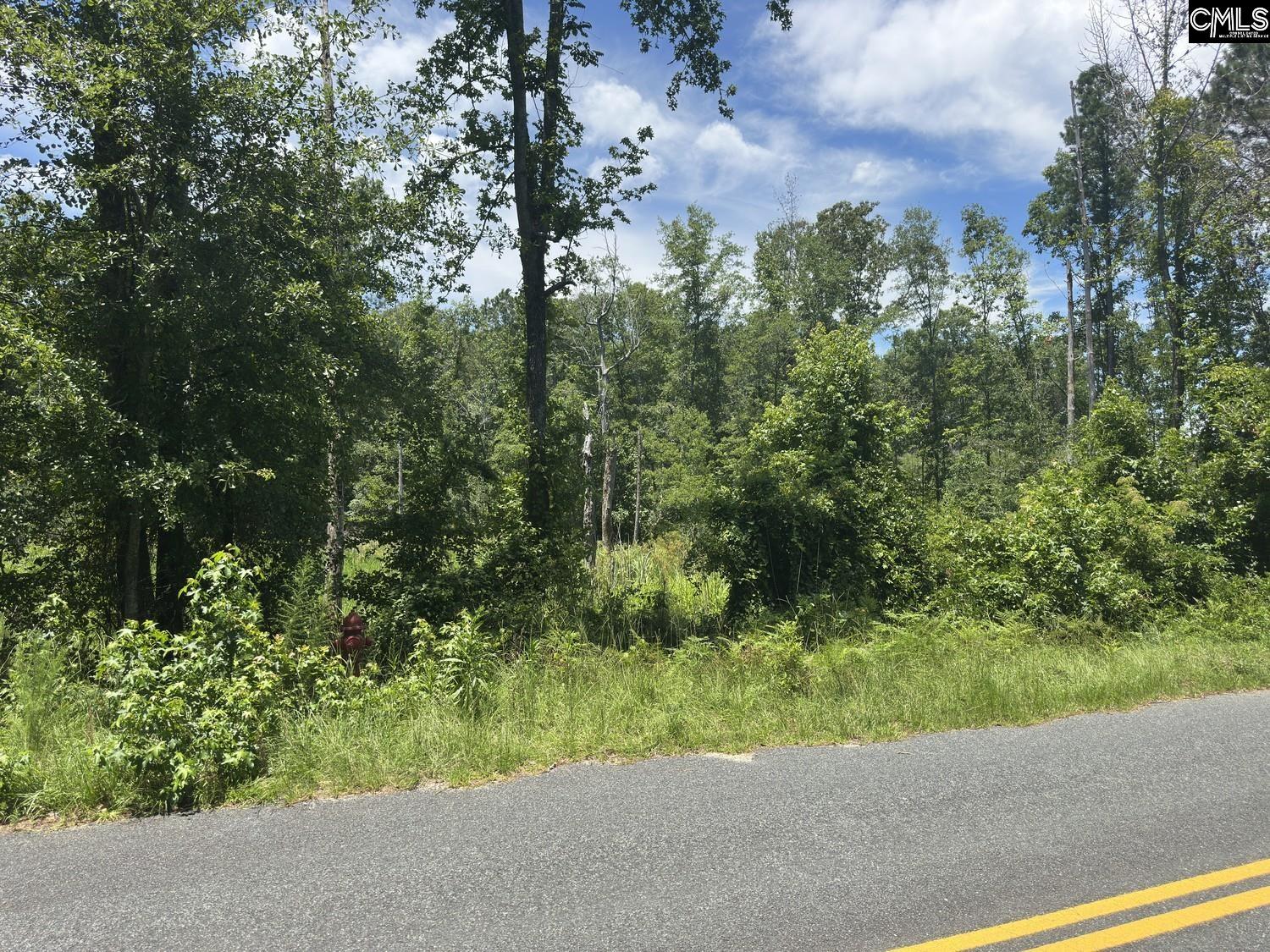 Henry Road Neeses, SC 29107