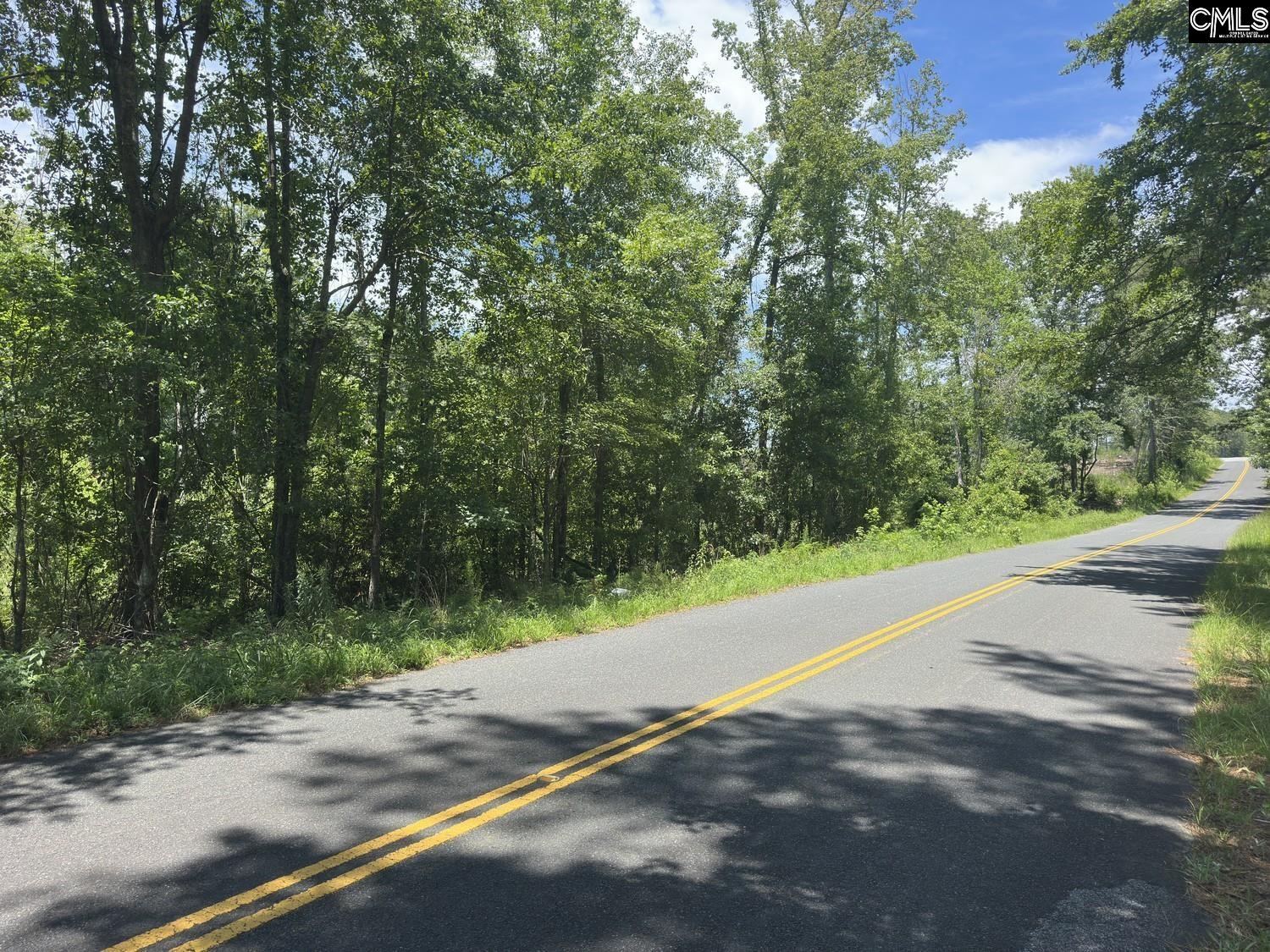 Henry Road Neeses, SC 29107