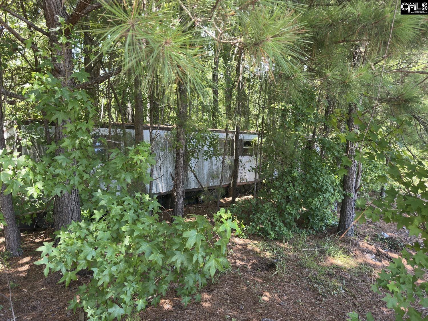 Henry Road Neeses, SC 29107
