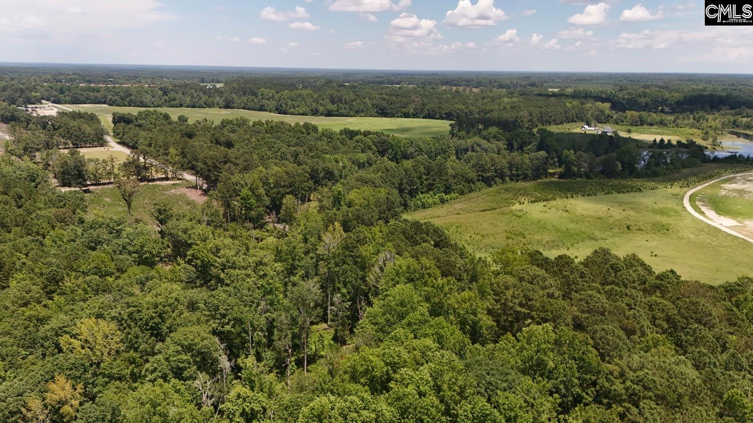 Henry Road Neeses, SC 29107