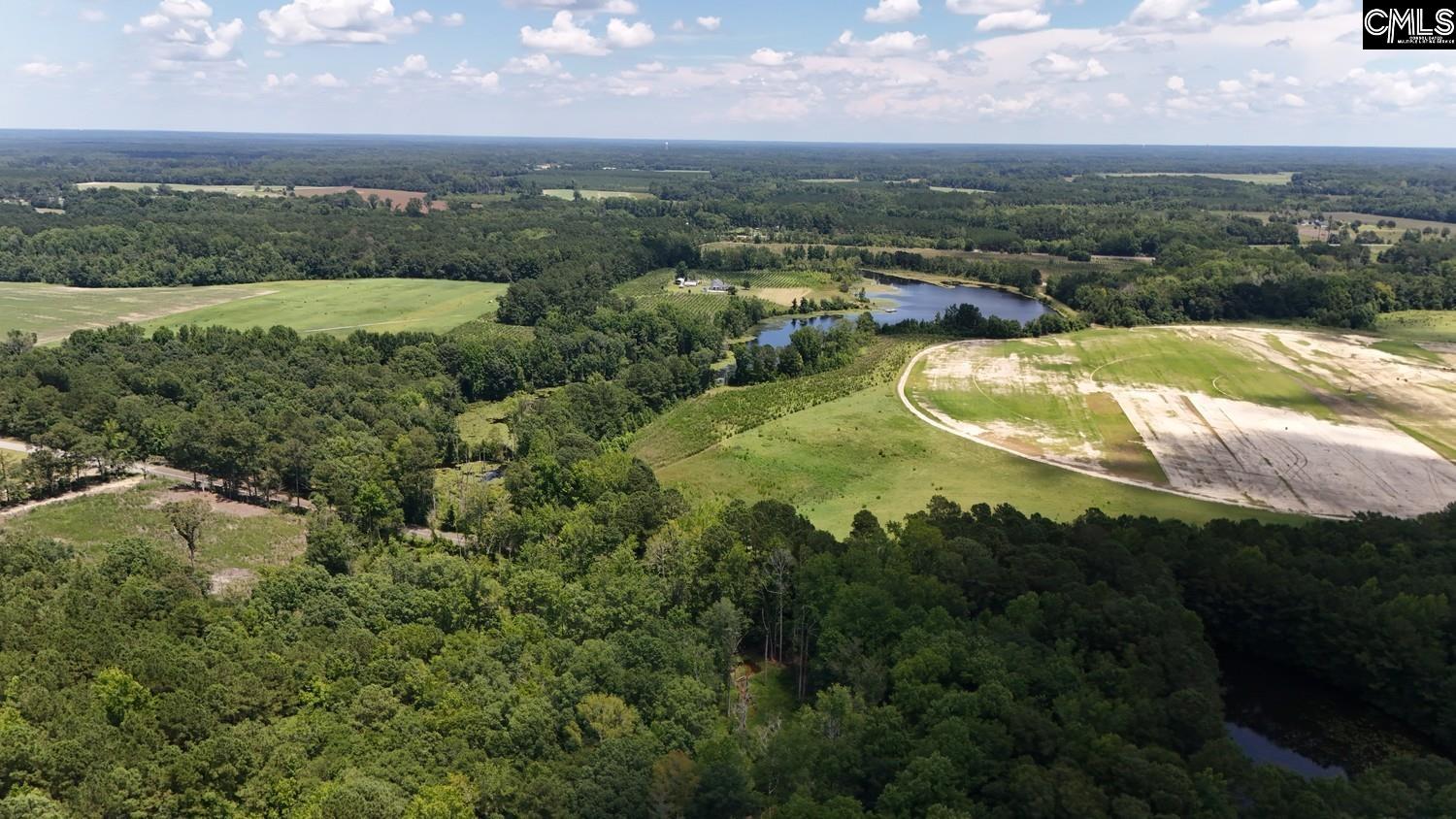 Henry Road Neeses, SC 29107