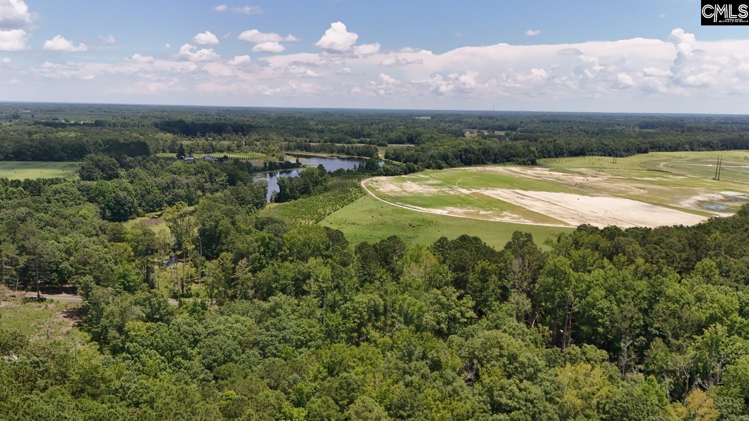 Henry Road Neeses, SC 29107