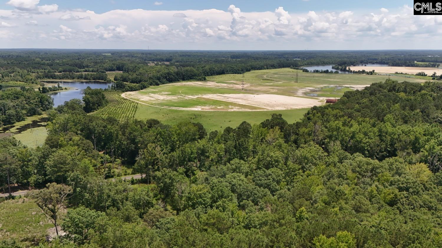 Henry Road Neeses, SC 29107