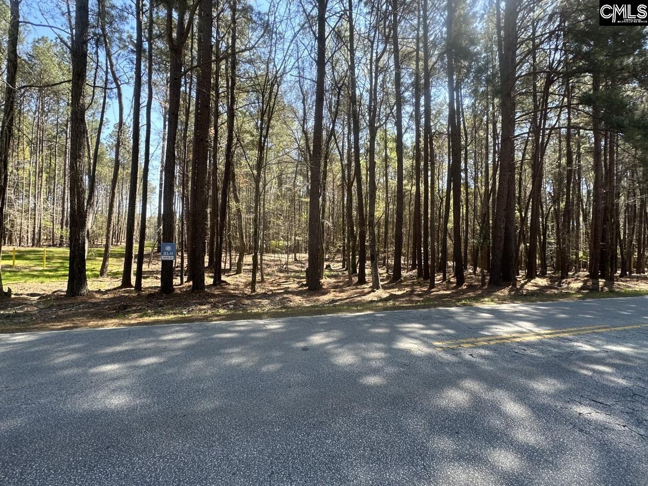 Lot 214 Hollands Landing Road UNIT Lot 214 Prosperity, SC 29127