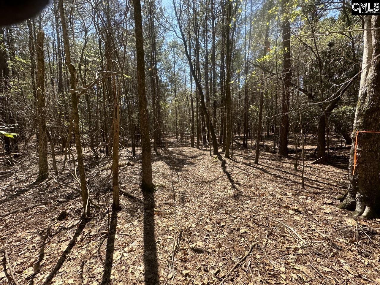 Lot 214 Hollands Landing Road UNIT Lot 214 Prosperity, SC 29127
