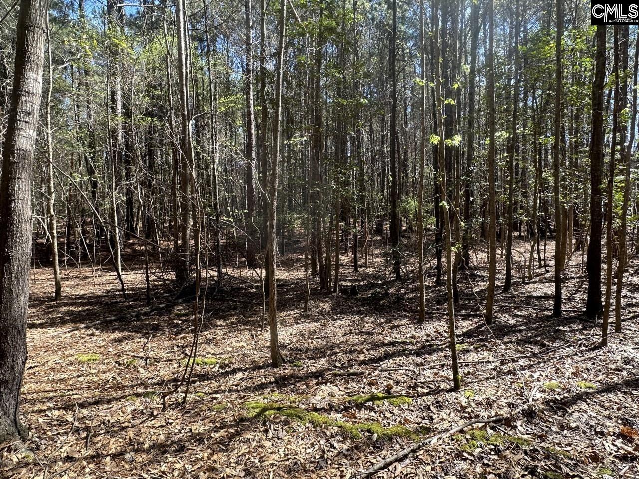 Lot 214 Hollands Landing Road UNIT Lot 214 Prosperity, SC 29127