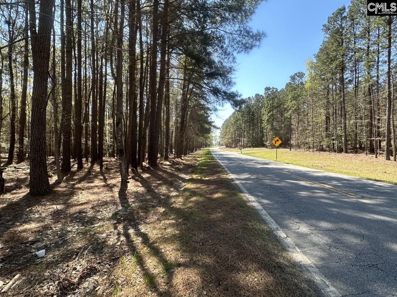 Lot 214 Hollands Landing Road UNIT Lot 214 Prosperity, SC 29127