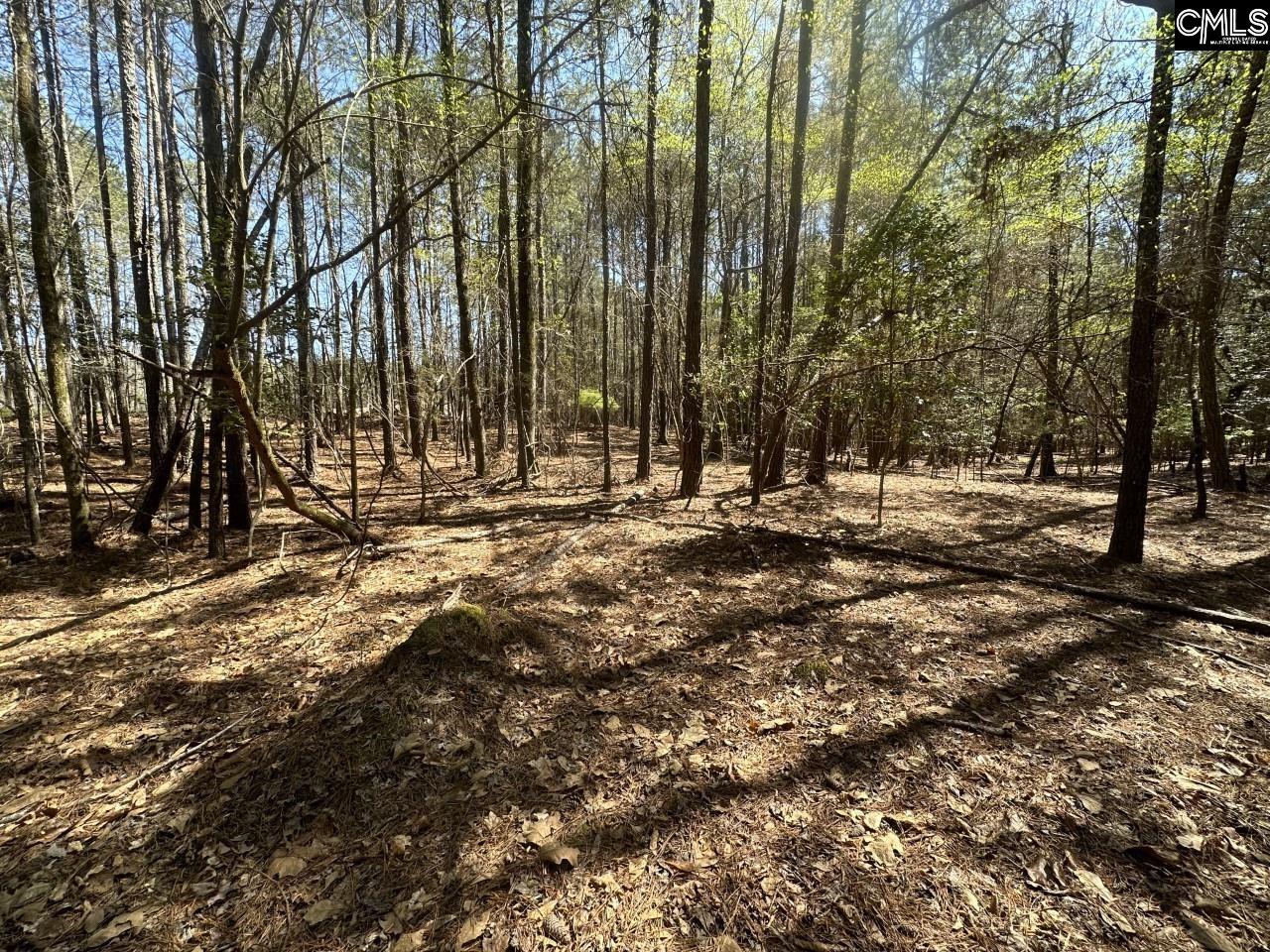 Lot 214 Hollands Landing Road UNIT Lot 214 Prosperity, SC 29127