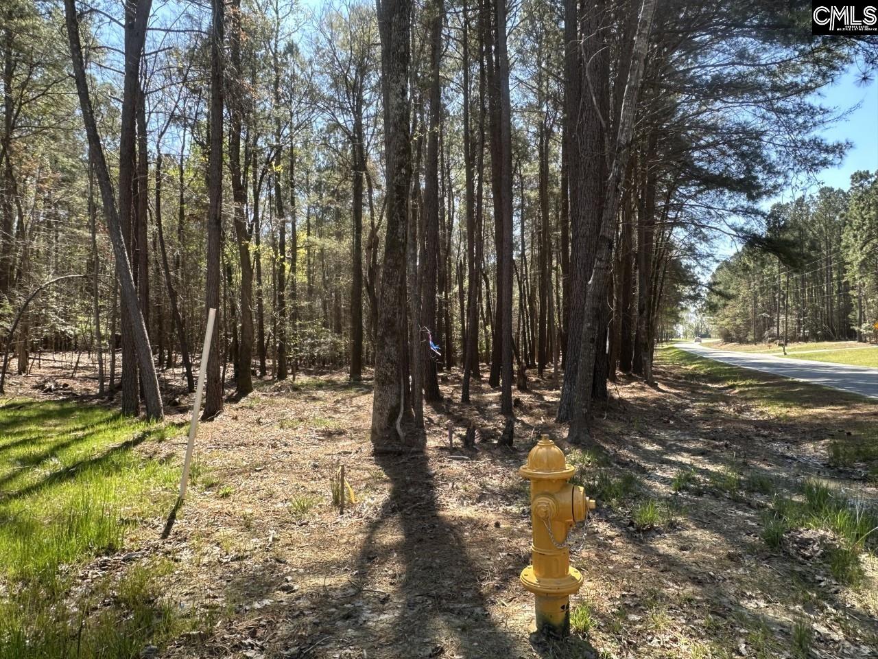 Lot 214 Hollands Landing Road UNIT Lot 214 Prosperity, SC 29127