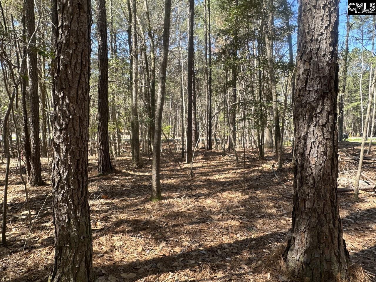 Lot 214 Hollands Landing Road UNIT Lot 214 Prosperity, SC 29127