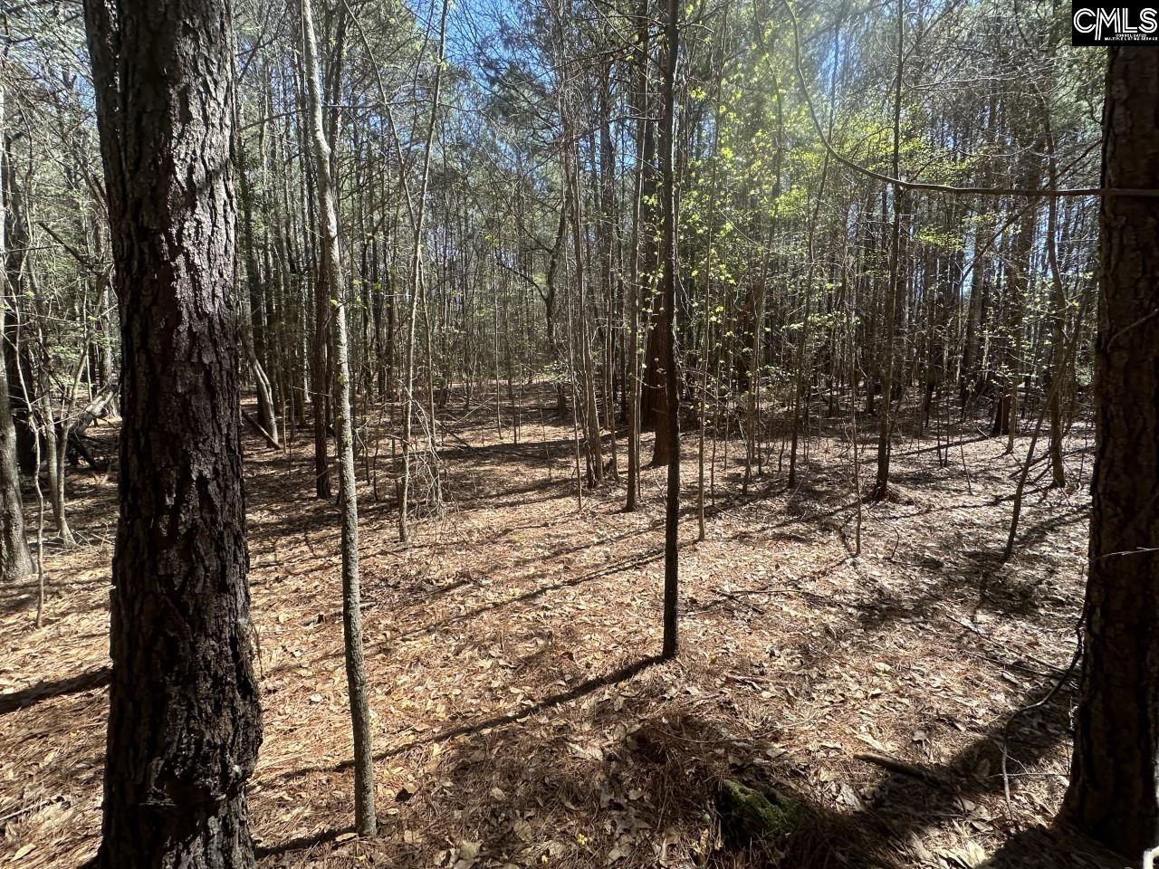 Lot 214 Hollands Landing Road UNIT Lot 214 Prosperity, SC 29127