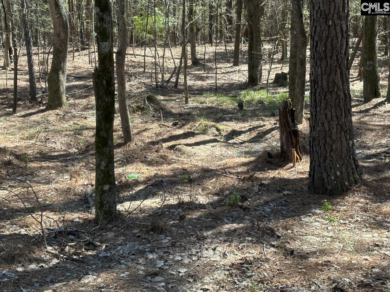 Lot 214 Hollands Landing Road UNIT Lot 214 Prosperity, SC 29127