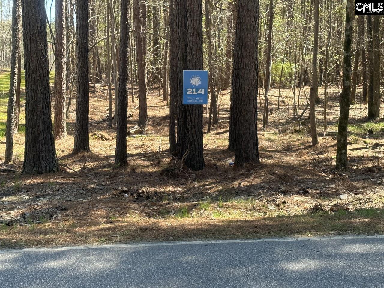 Lot 214 Hollands Landing Road UNIT Lot 214 Prosperity, SC 29127