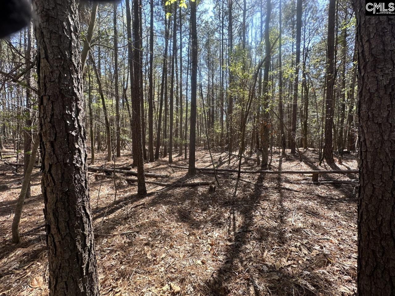 Lot 214 Hollands Landing Road UNIT Lot 214 Prosperity, SC 29127