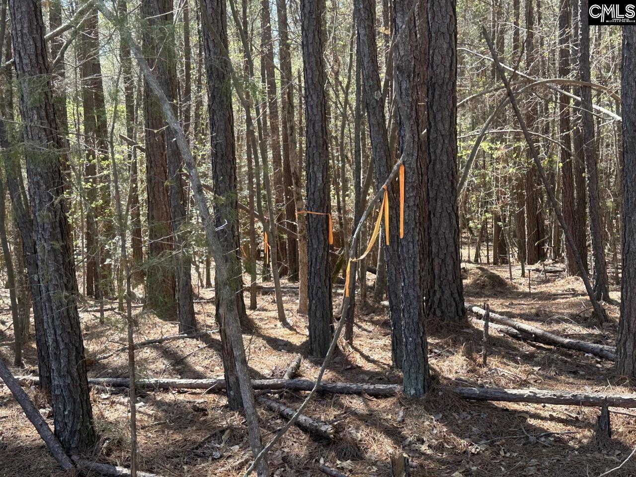 Lot 214 Hollands Landing Road UNIT Lot 214 Prosperity, SC 29127