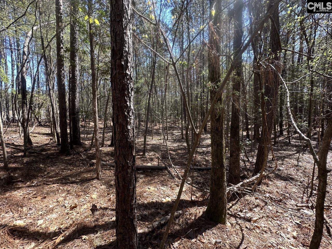 Lot 214 Hollands Landing Road UNIT Lot 214 Prosperity, SC 29127