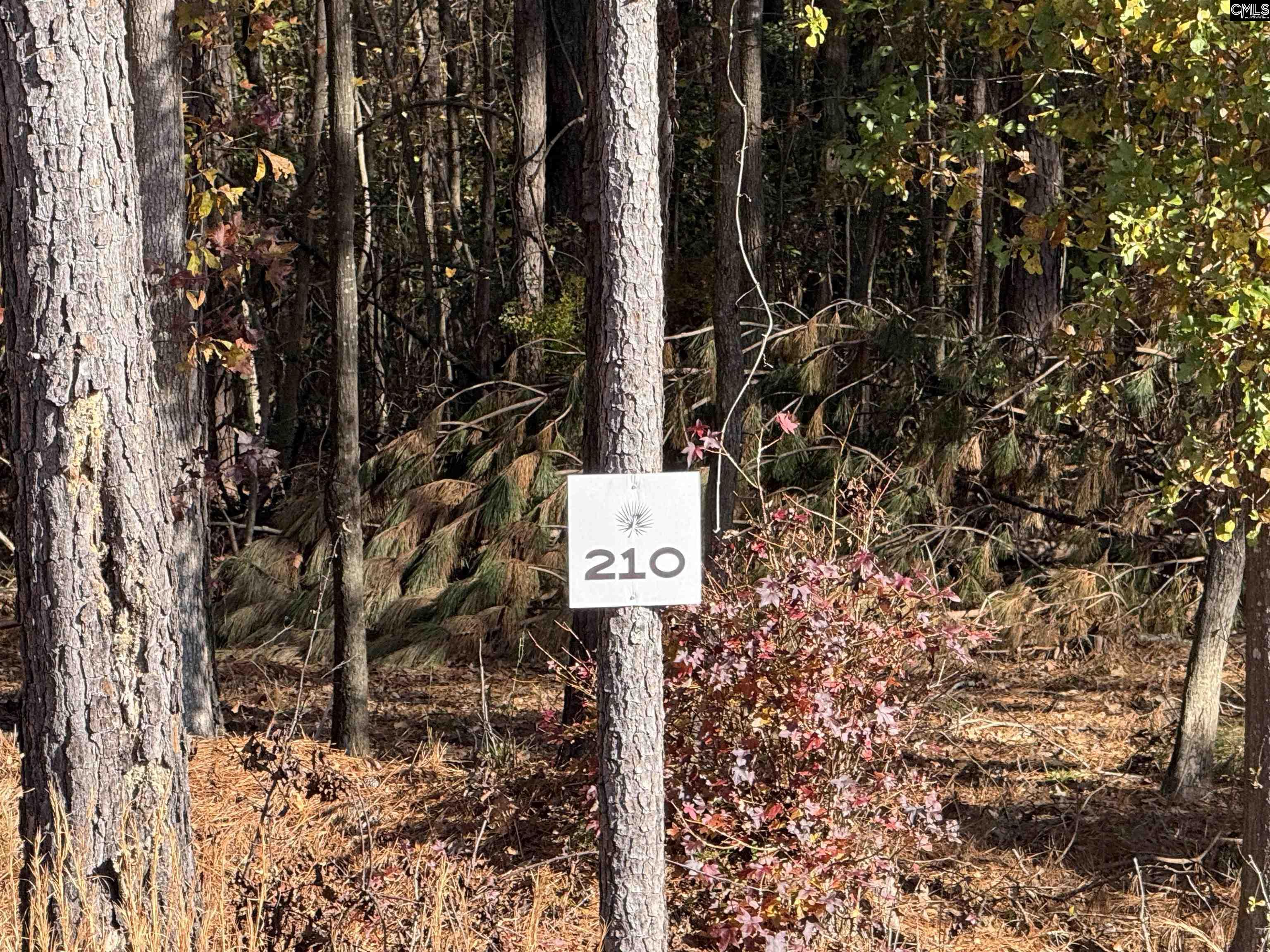 Lot 210 Circle H. Woods Road UNIT #210 Prosperity, SC 29127