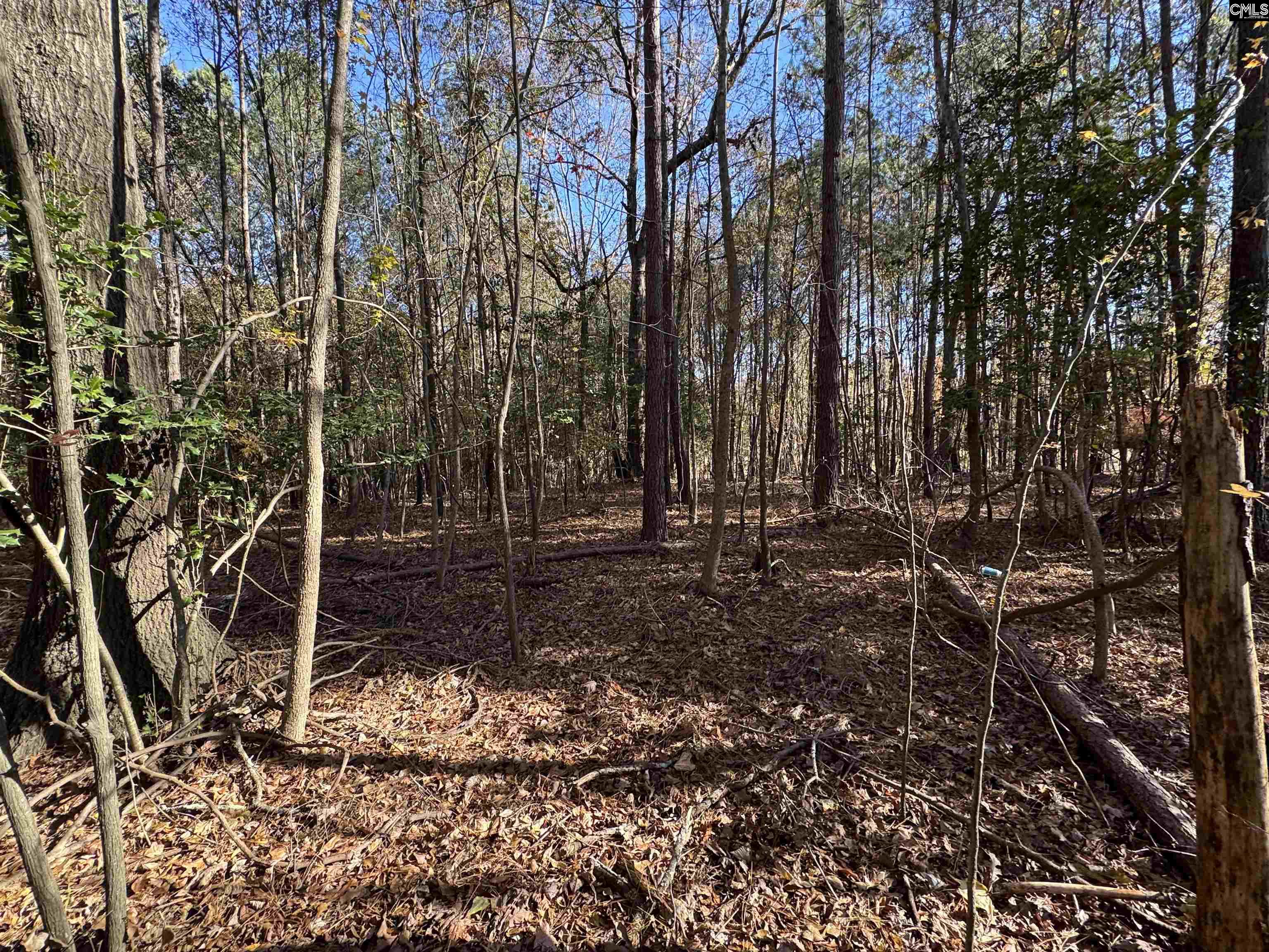 Lot 210 Circle H. Woods Road UNIT #210 Prosperity, SC 29127