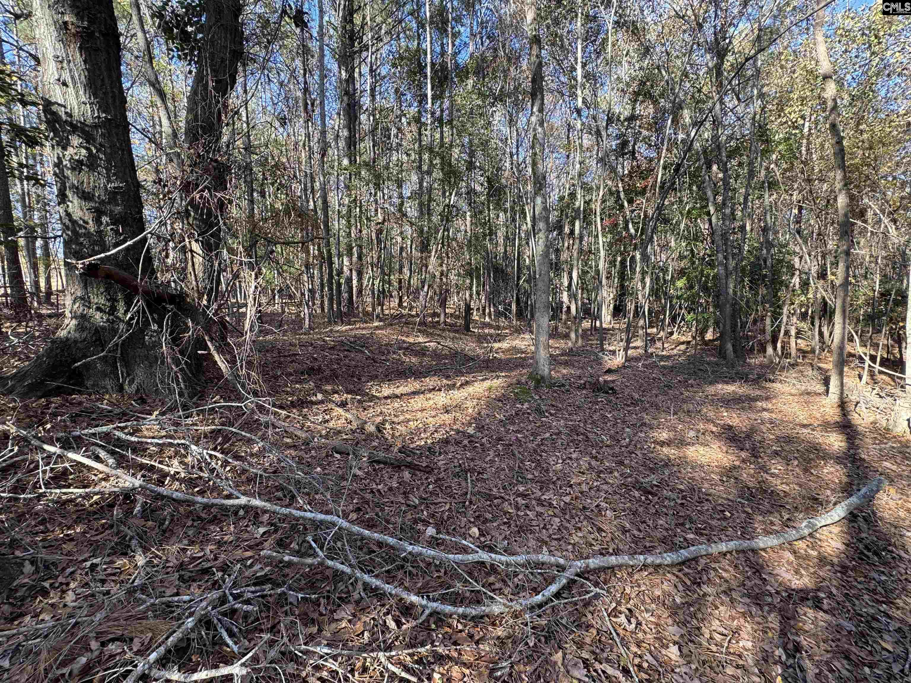 Lot 210 Circle H. Woods Road UNIT #210 Prosperity, SC 29127