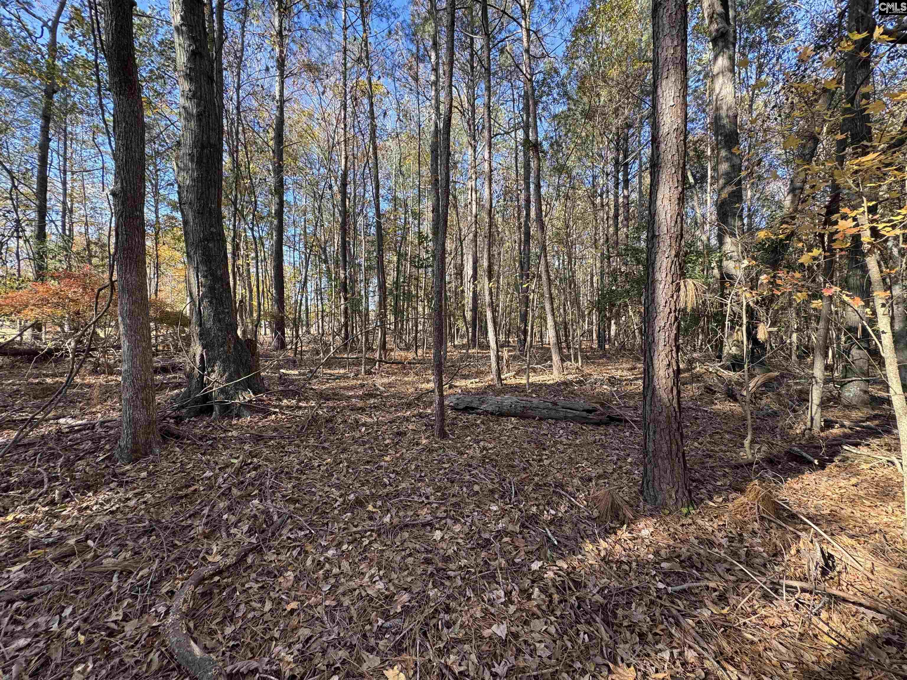 Lot 210 Circle H. Woods Road UNIT #210 Prosperity, SC 29127