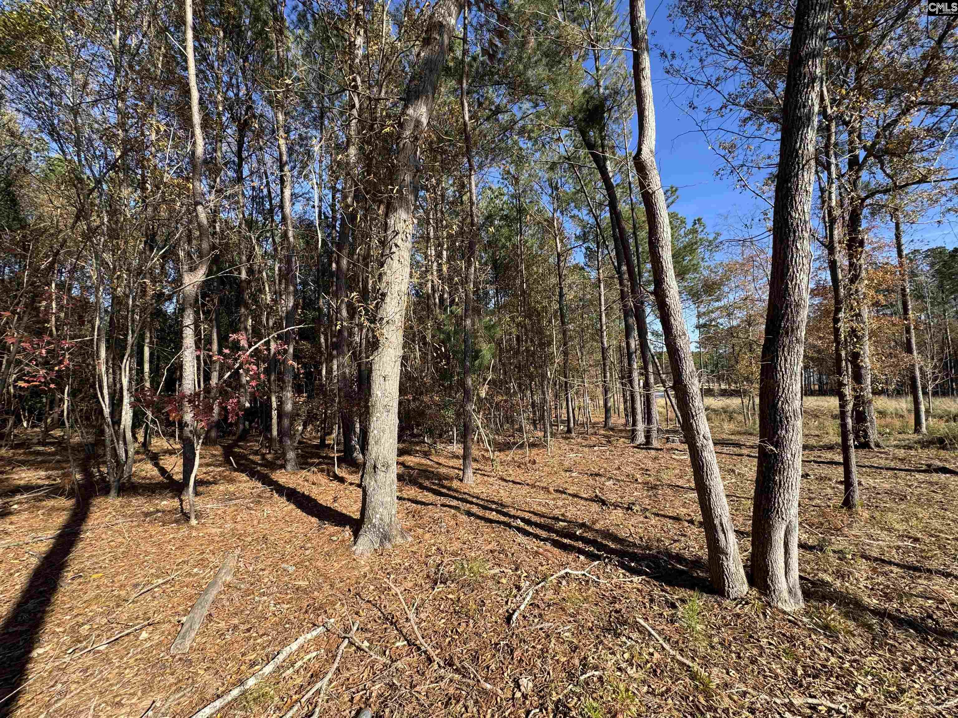 Lot 210 Circle H. Woods Road UNIT #210 Prosperity, SC 29127