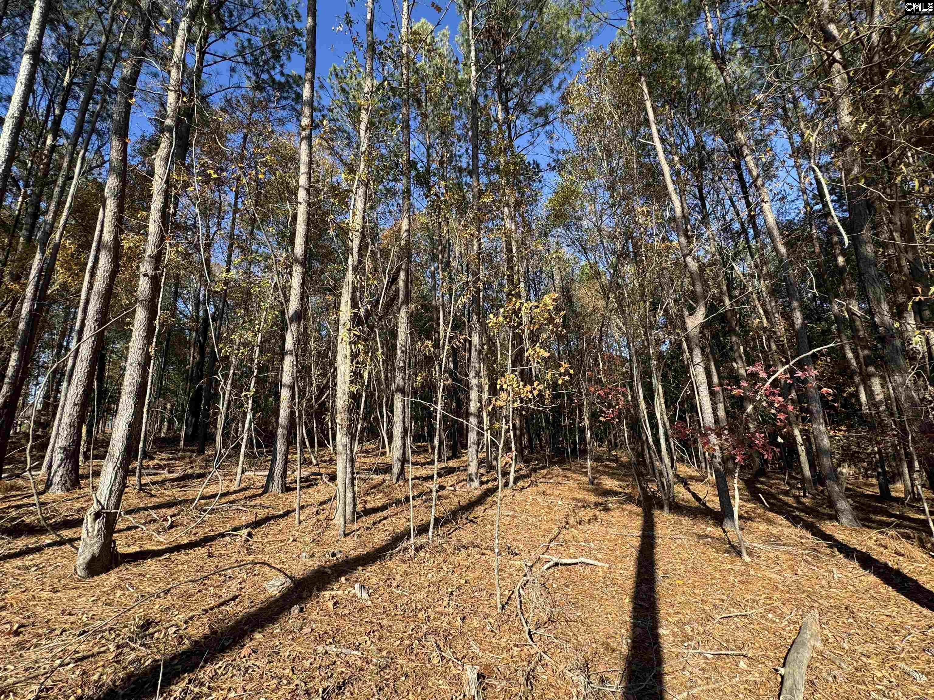 Lot 210 Circle H. Woods Road UNIT #210 Prosperity, SC 29127