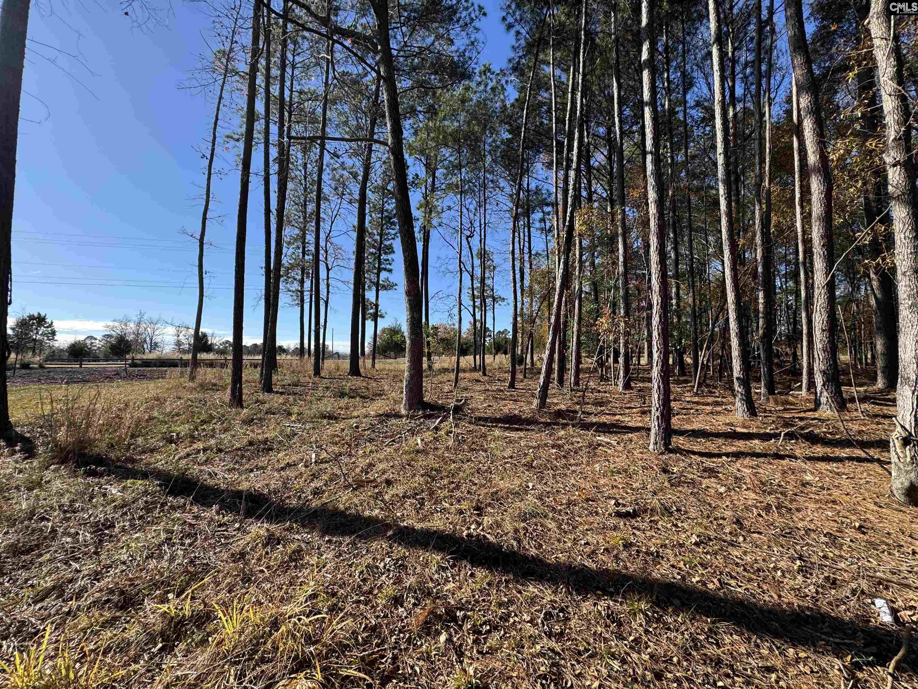 Lot 210 Circle H. Woods Road UNIT #210 Prosperity, SC 29127
