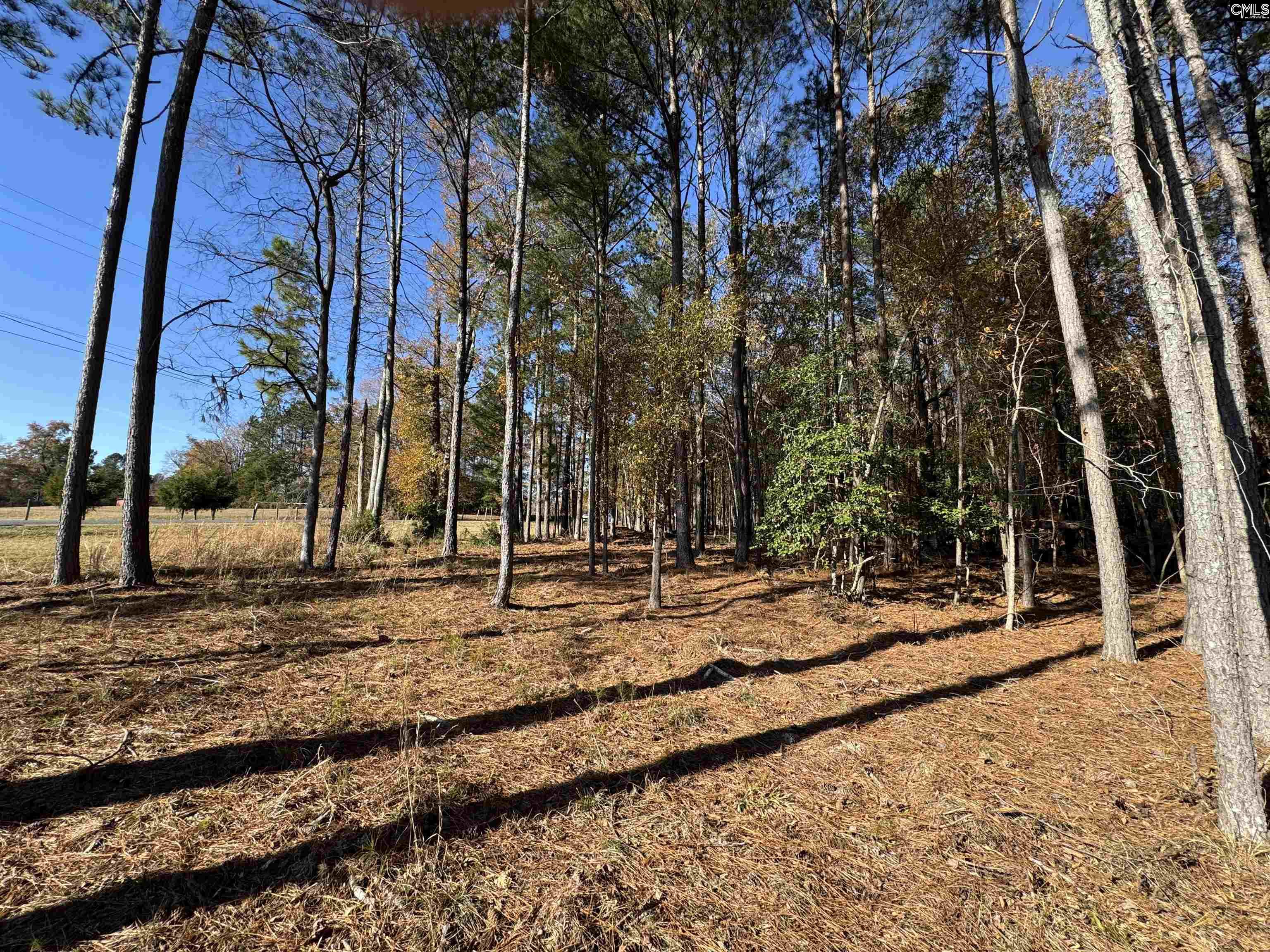 Lot 210 Circle H. Woods Road UNIT #210 Prosperity, SC 29127
