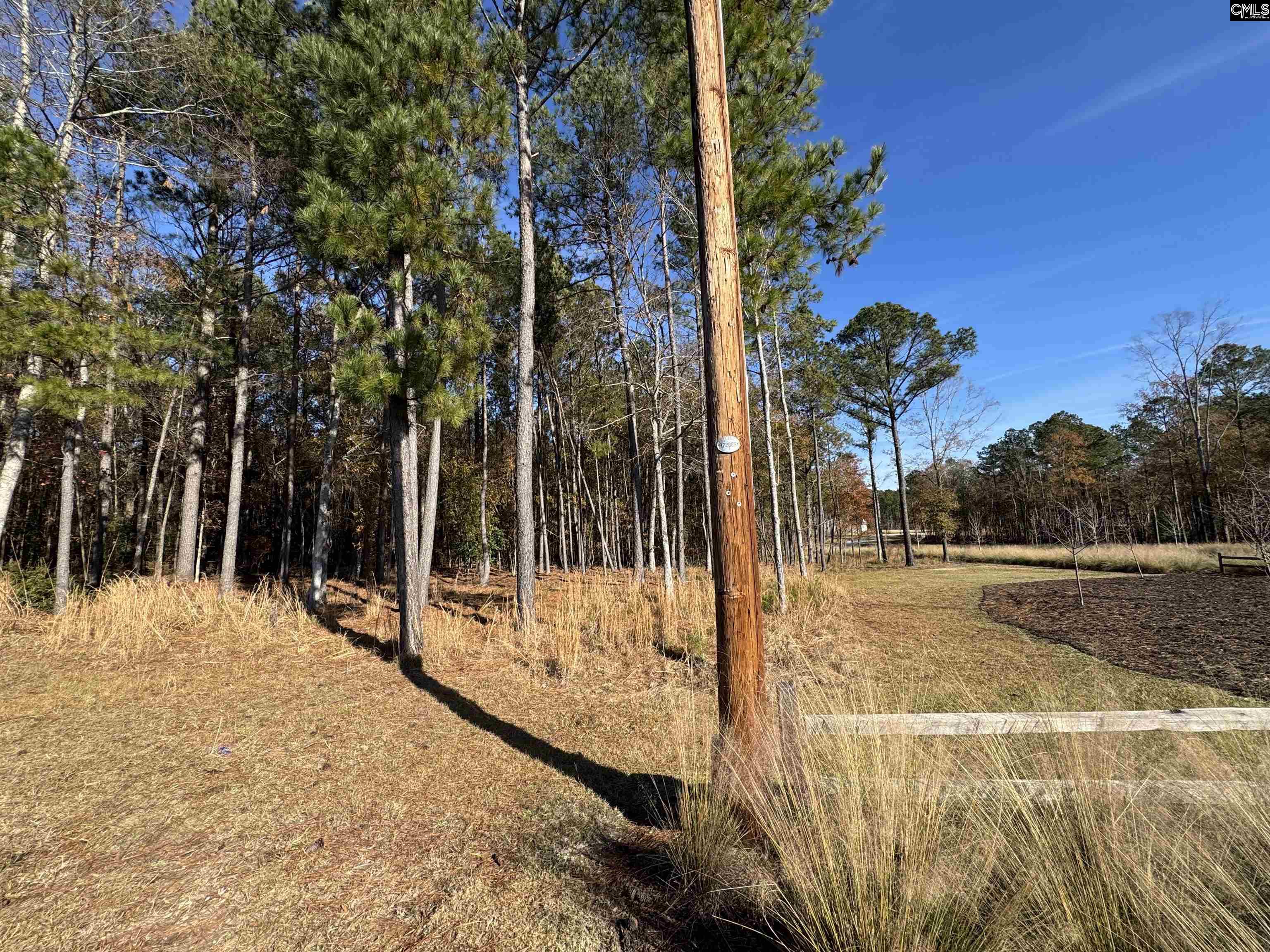 Lot 210 Circle H. Woods Road UNIT #210 Prosperity, SC 29127