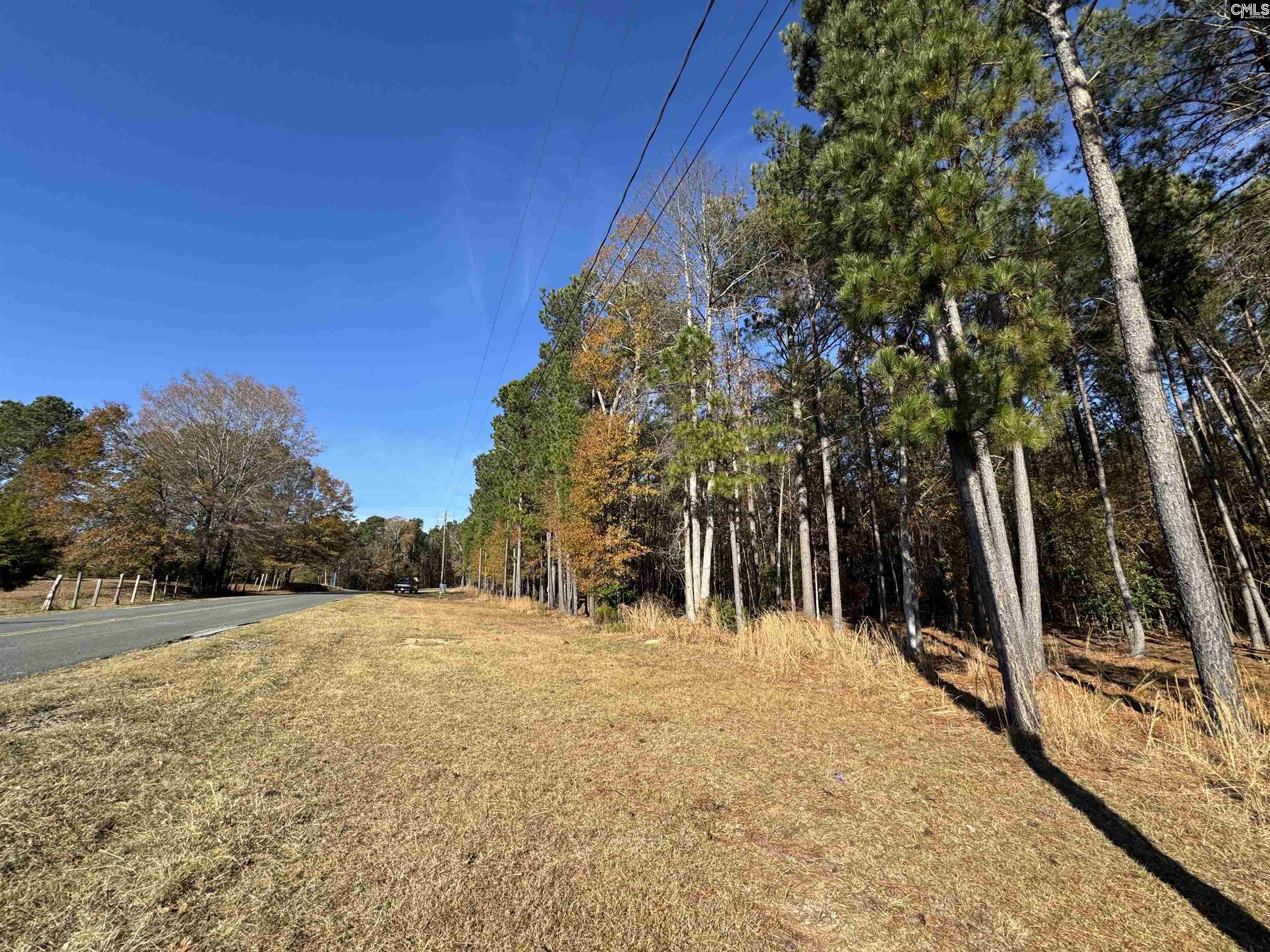 Lot 210 Circle H. Woods Road UNIT #210 Prosperity, SC 29127