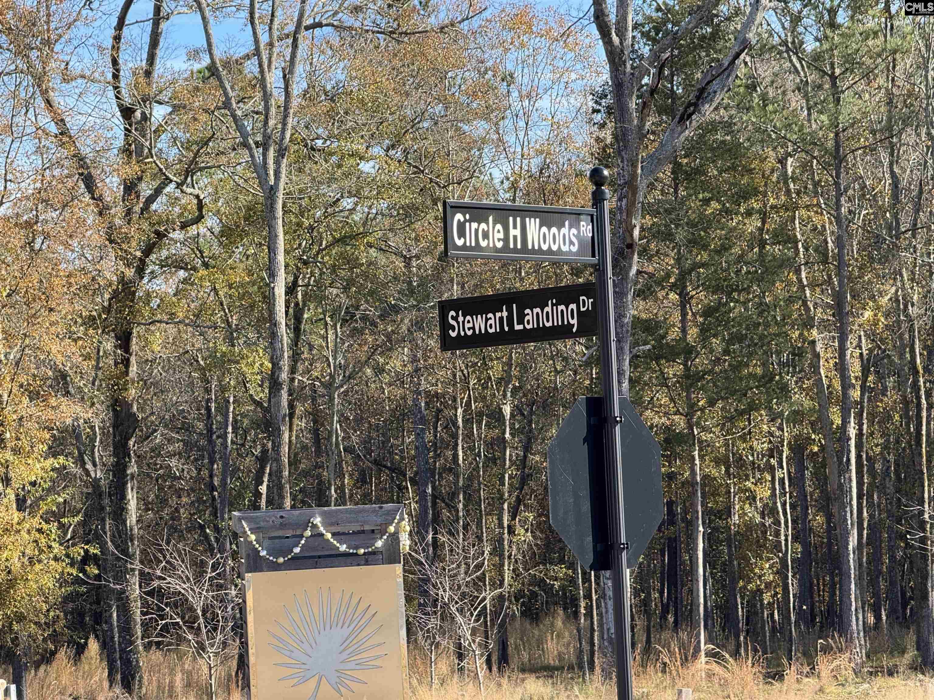 Lot 210 Circle H. Woods Road UNIT #210 Prosperity, SC 29127