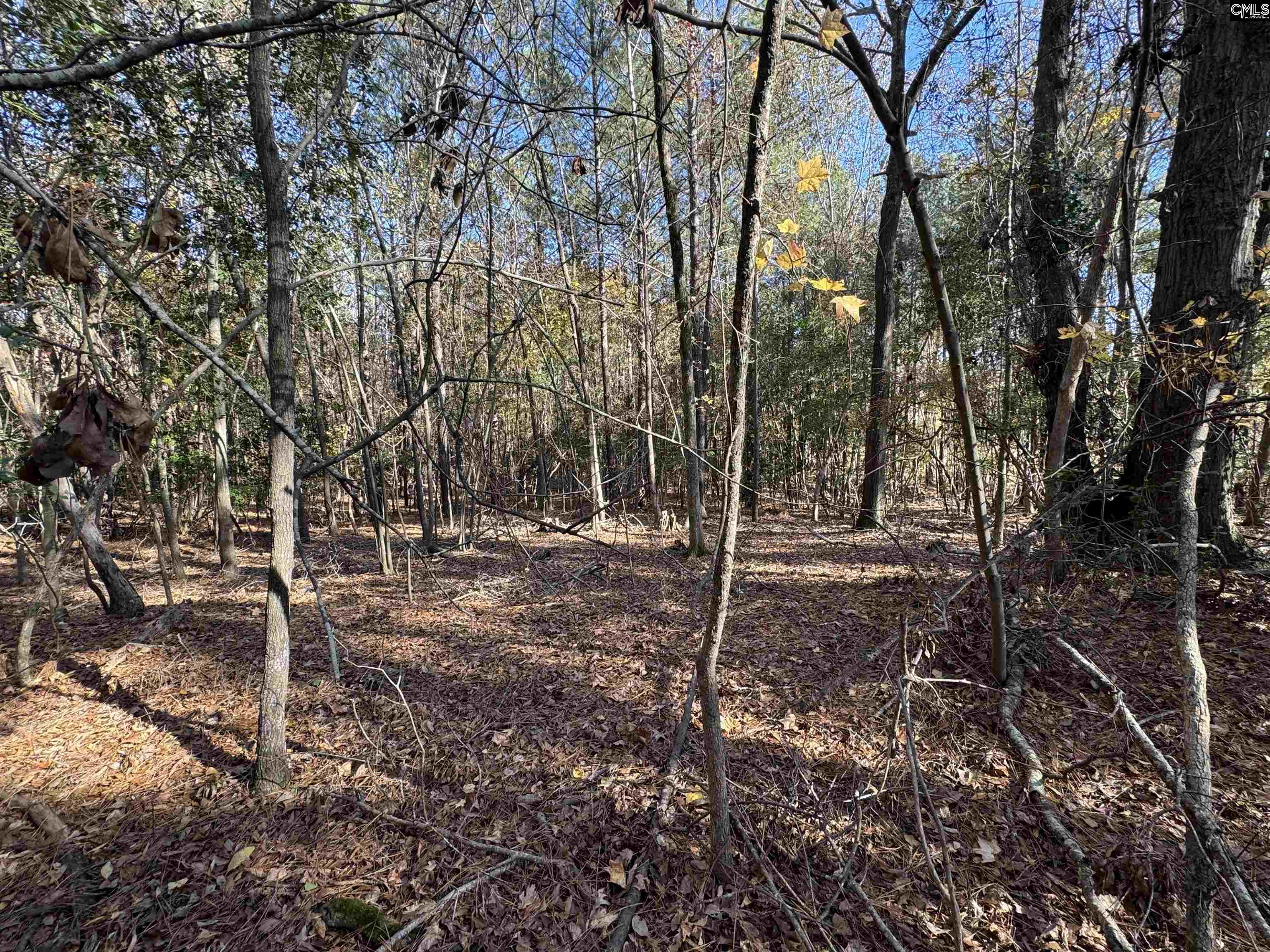 Lot 210 Circle H. Woods Road UNIT #210 Prosperity, SC 29127
