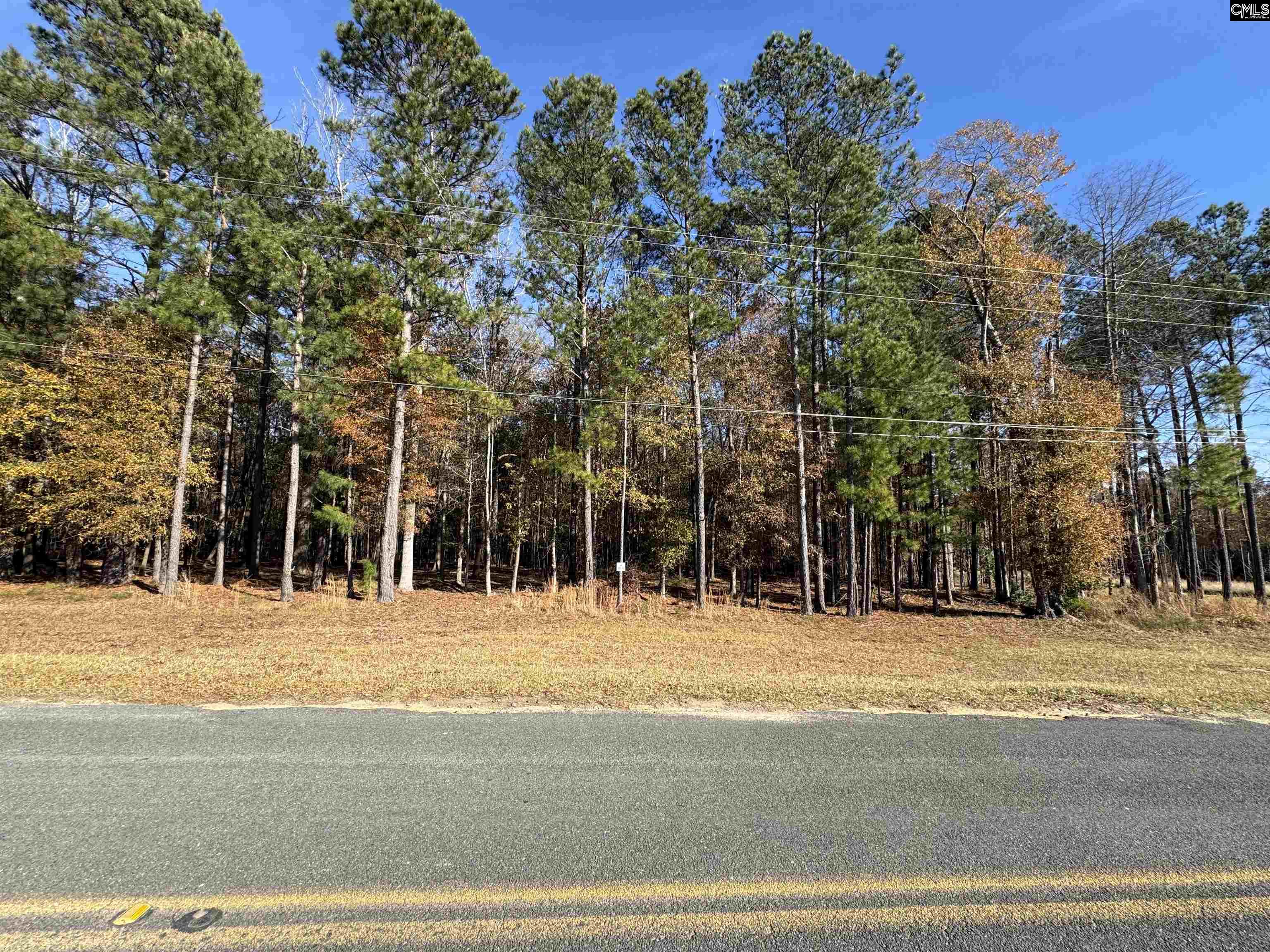 Lot 210 Circle H. Woods Road UNIT #210 Prosperity, SC 29127