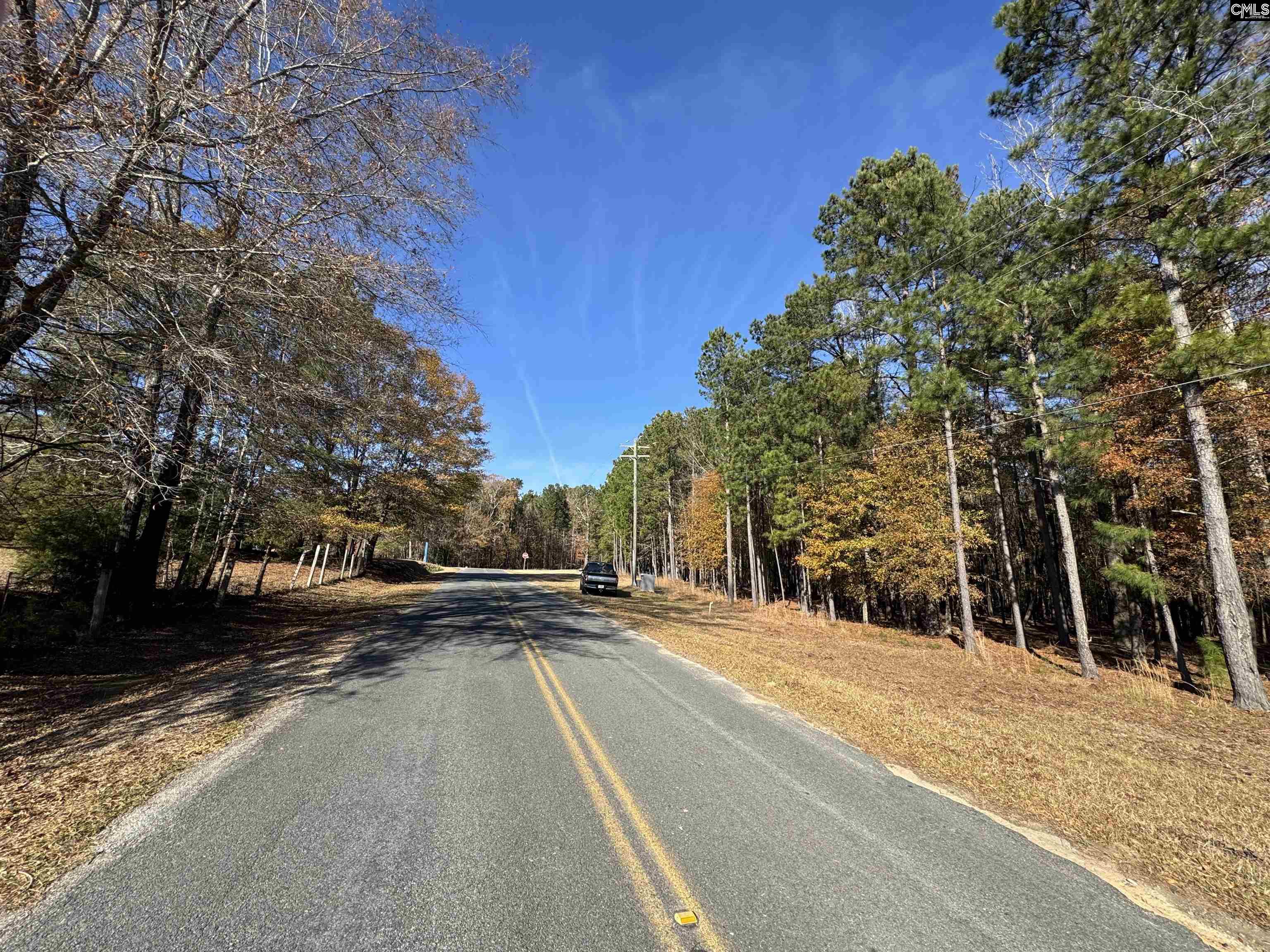 Lot 210 Circle H. Woods Road UNIT #210 Prosperity, SC 29127