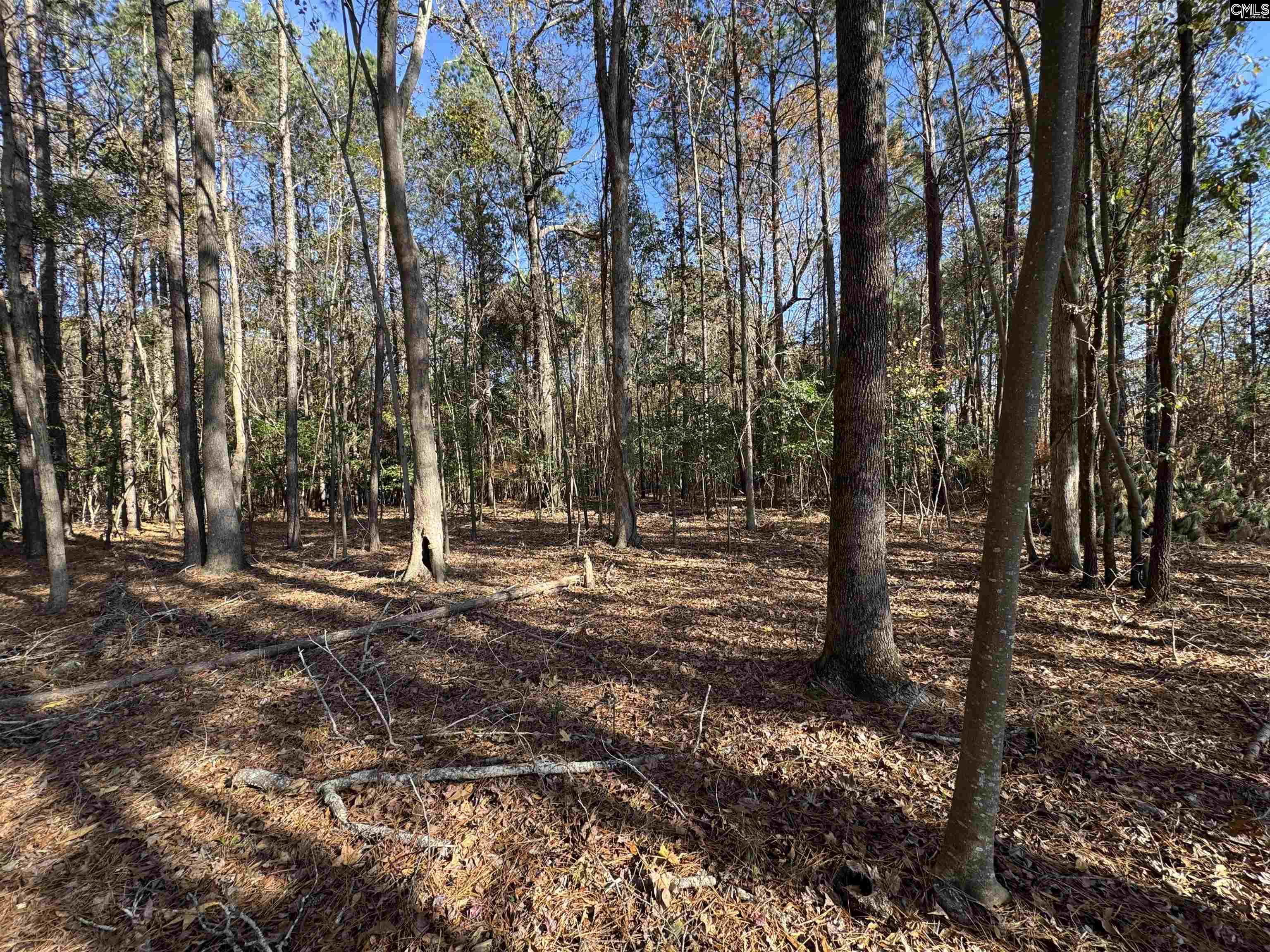 Lot 210 Circle H. Woods Road UNIT #210 Prosperity, SC 29127