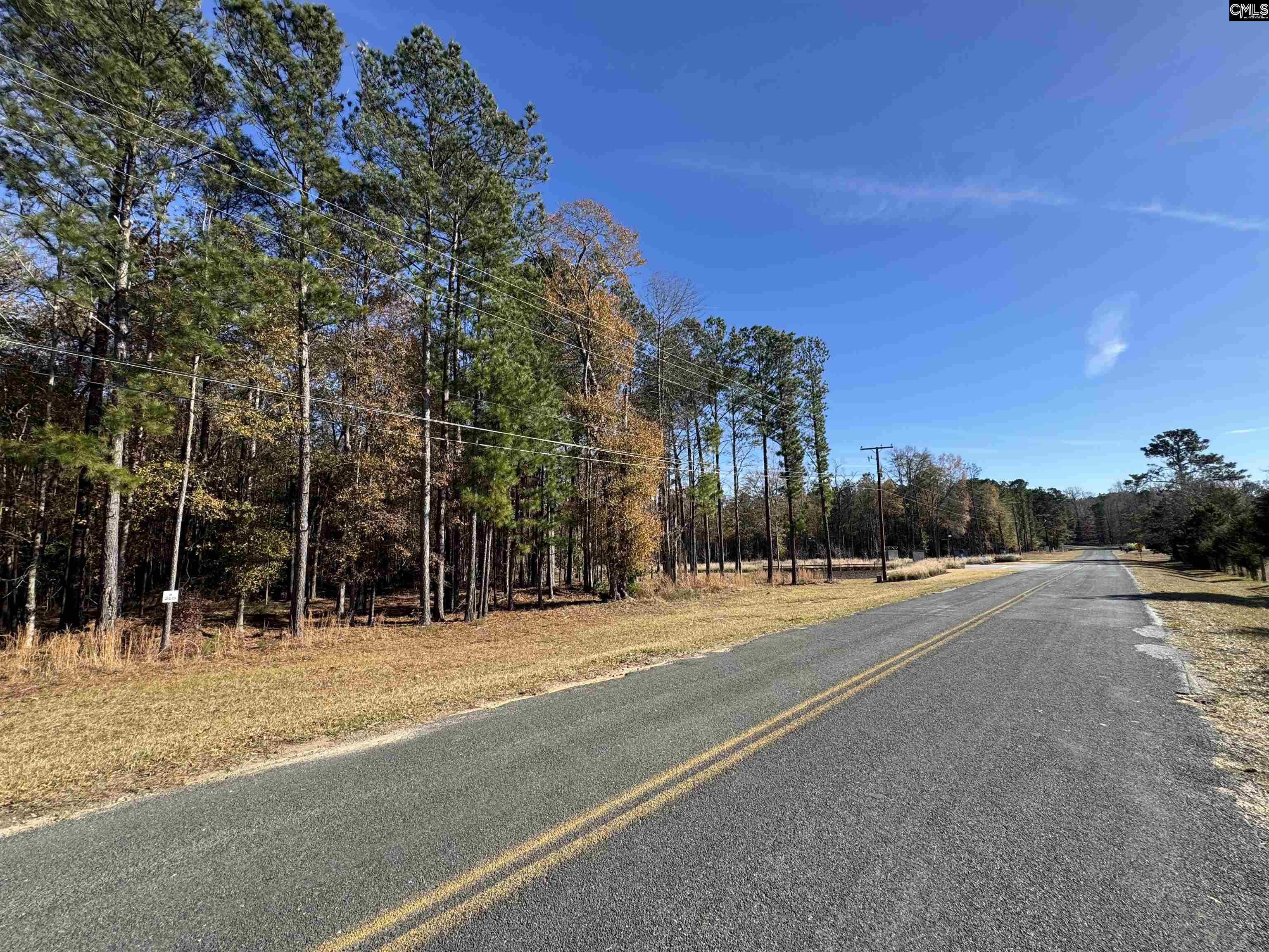 Lot 210 Circle H. Woods Road UNIT #210 Prosperity, SC 29127