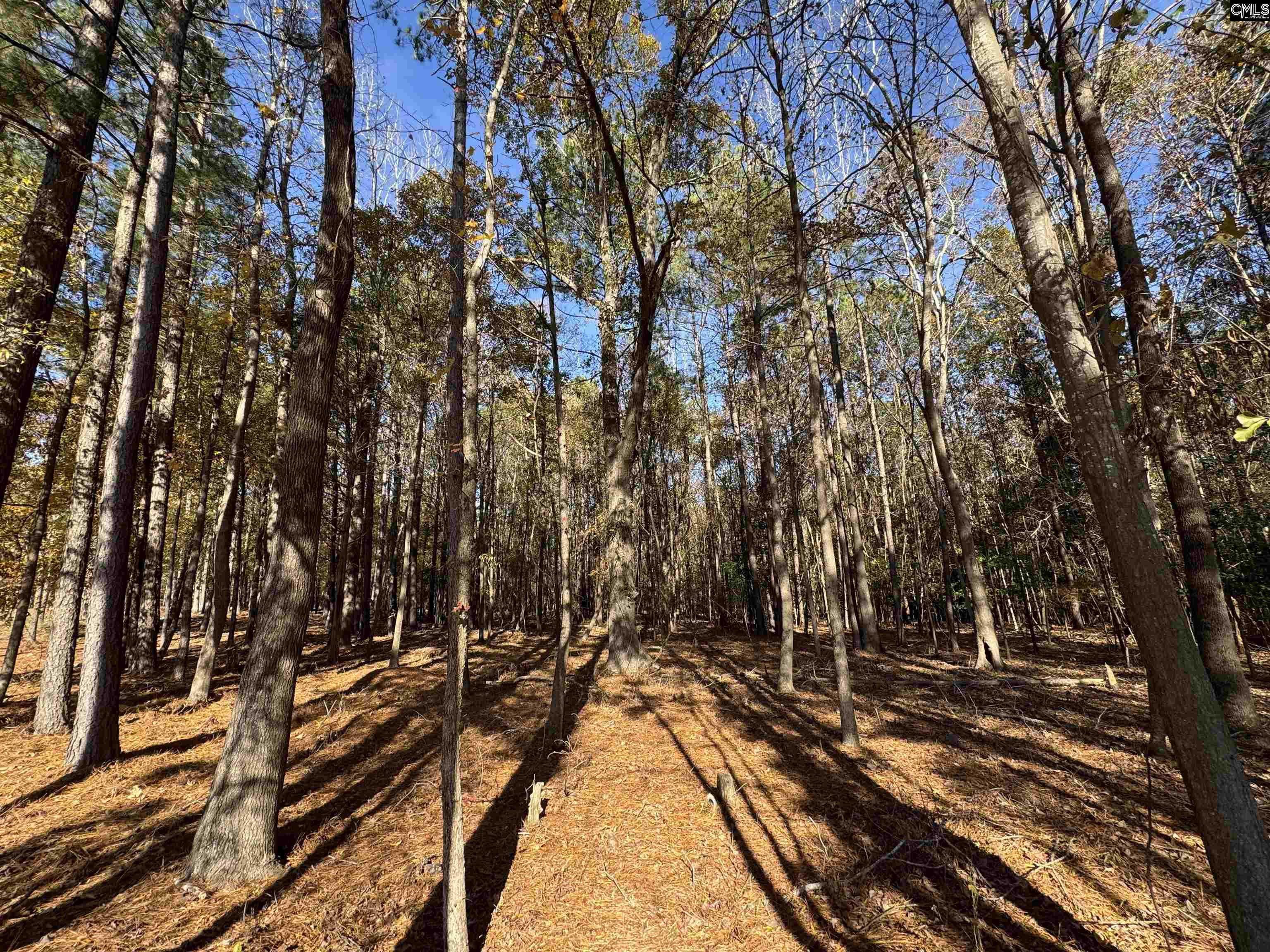 Lot 210 Circle H. Woods Road UNIT #210 Prosperity, SC 29127