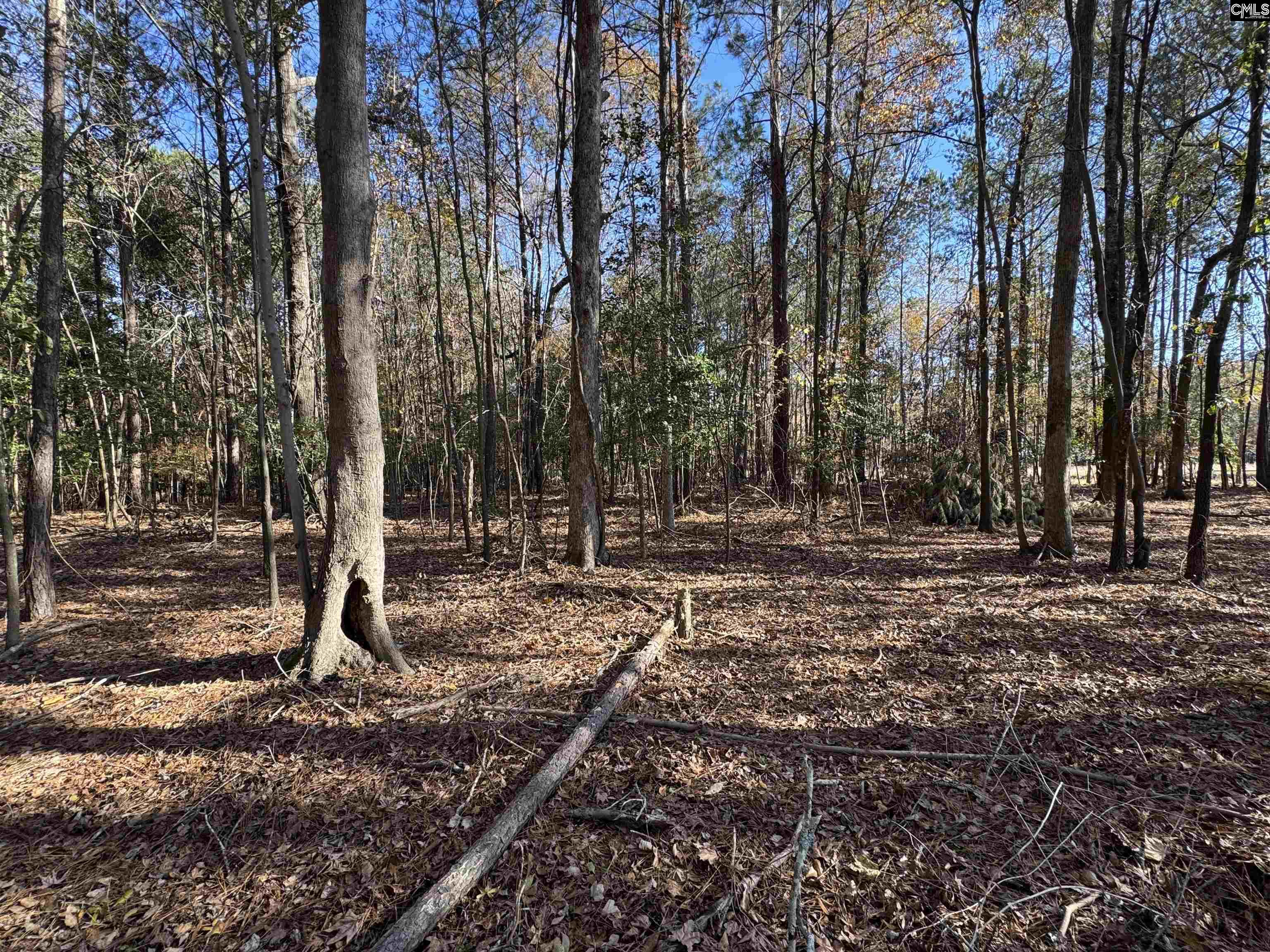 Lot 210 Circle H. Woods Road UNIT #210 Prosperity, SC 29127