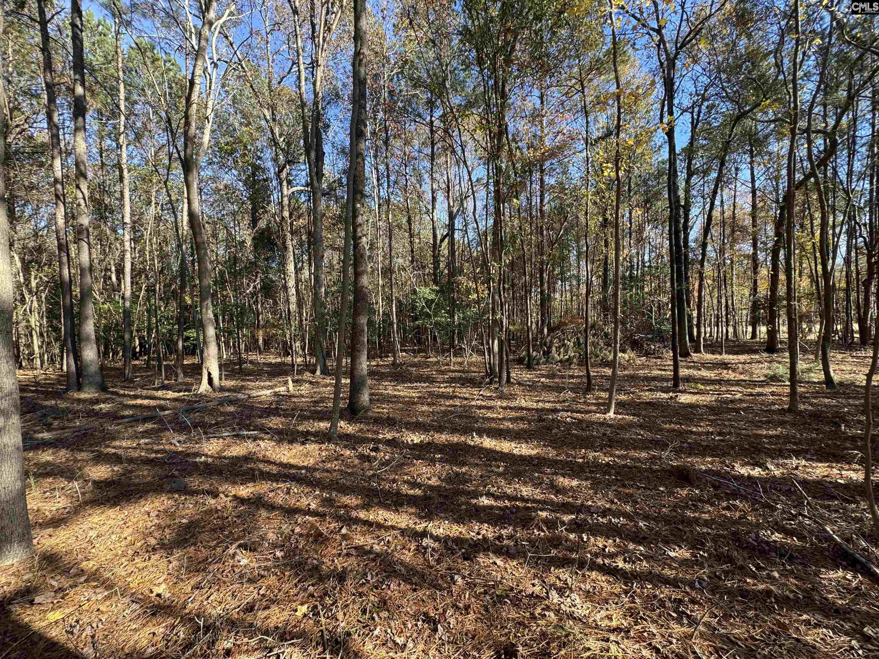 Lot 210 Circle H. Woods Road UNIT #210 Prosperity, SC 29127