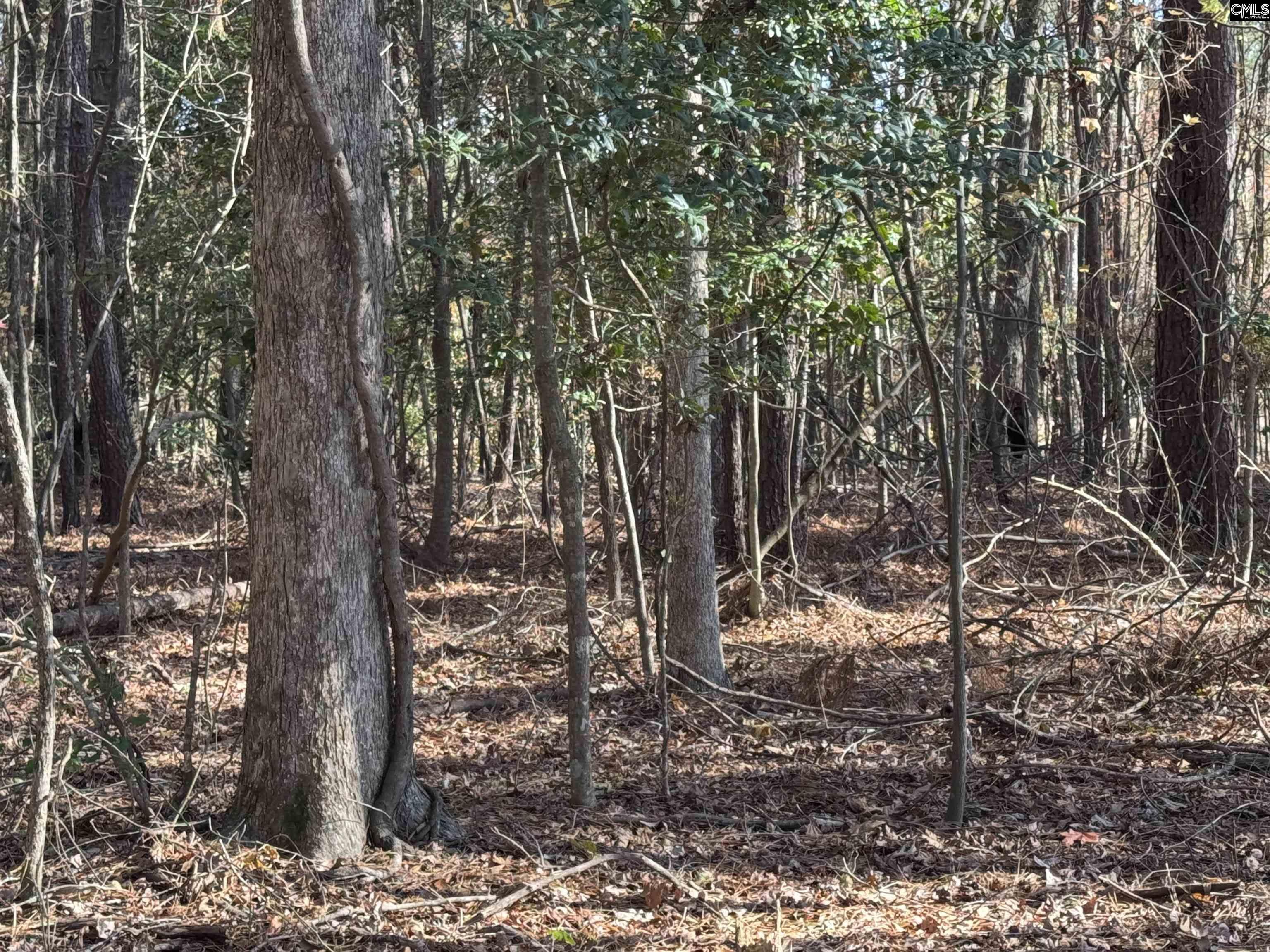 Lot 210 Circle H. Woods Road UNIT #210 Prosperity, SC 29127