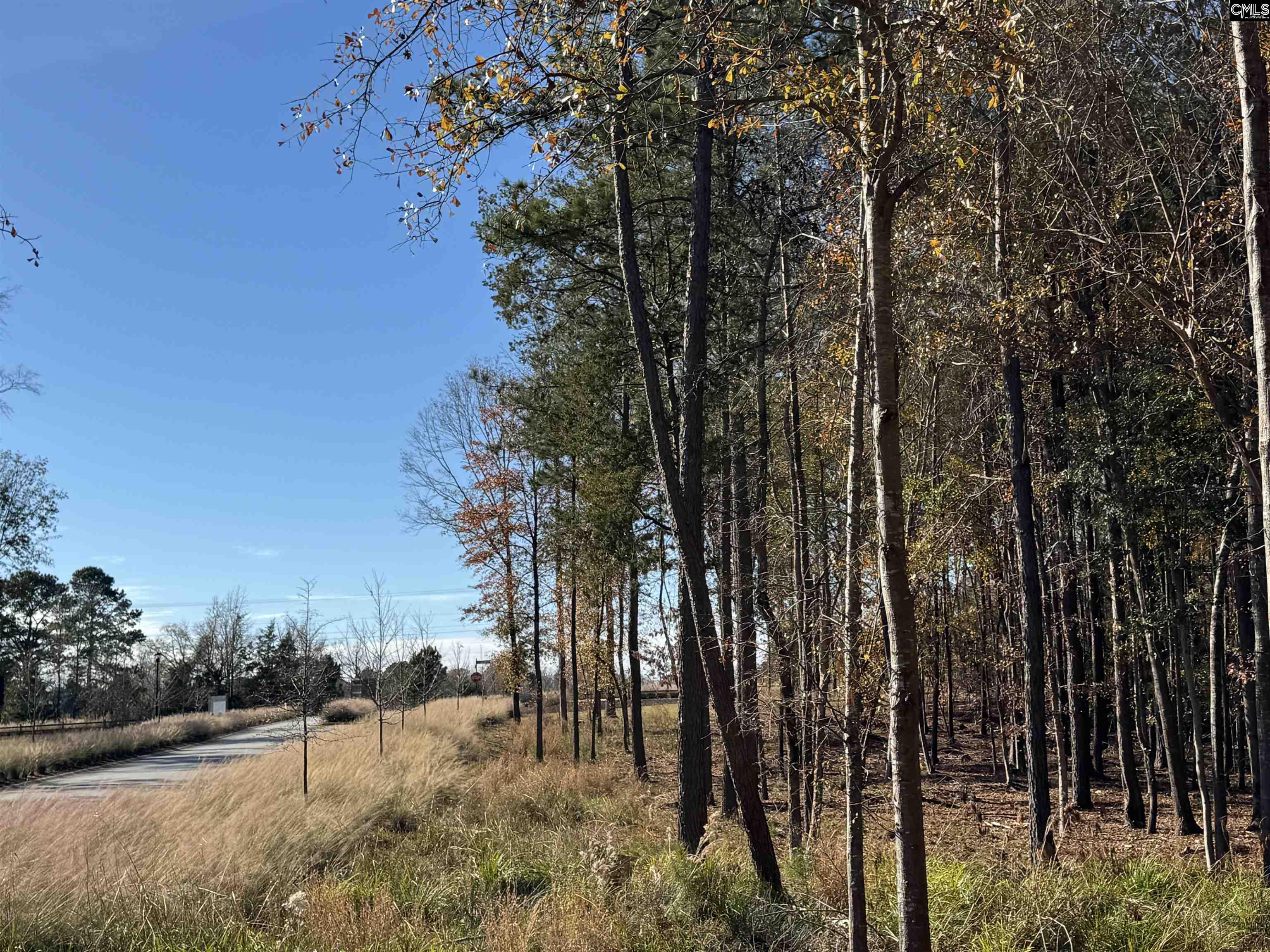 Lot 210 Circle H. Woods Road UNIT #210 Prosperity, SC 29127