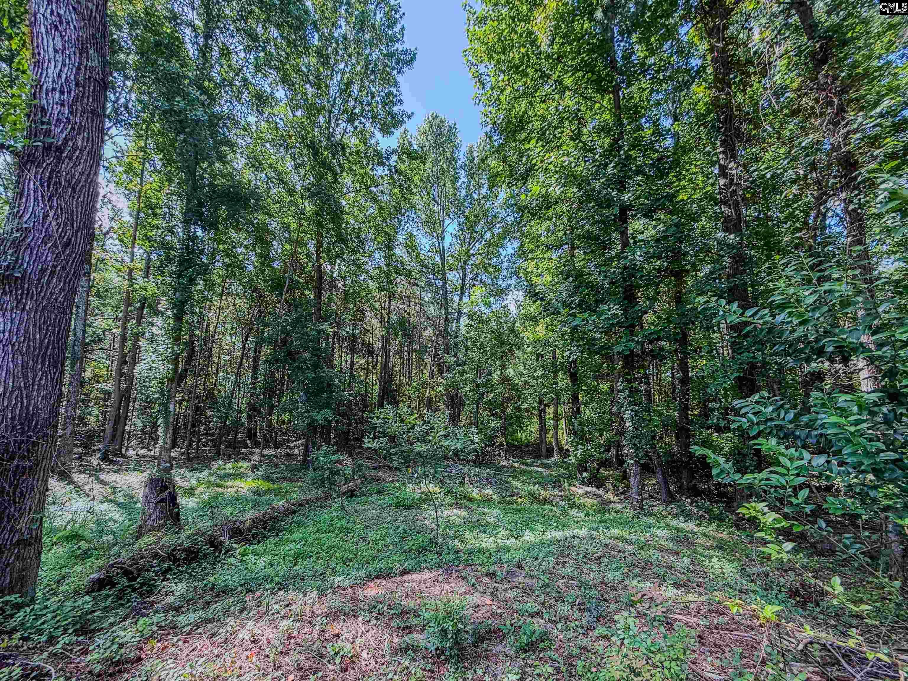 219 Lockwood Drive Lexington, SC 29072
