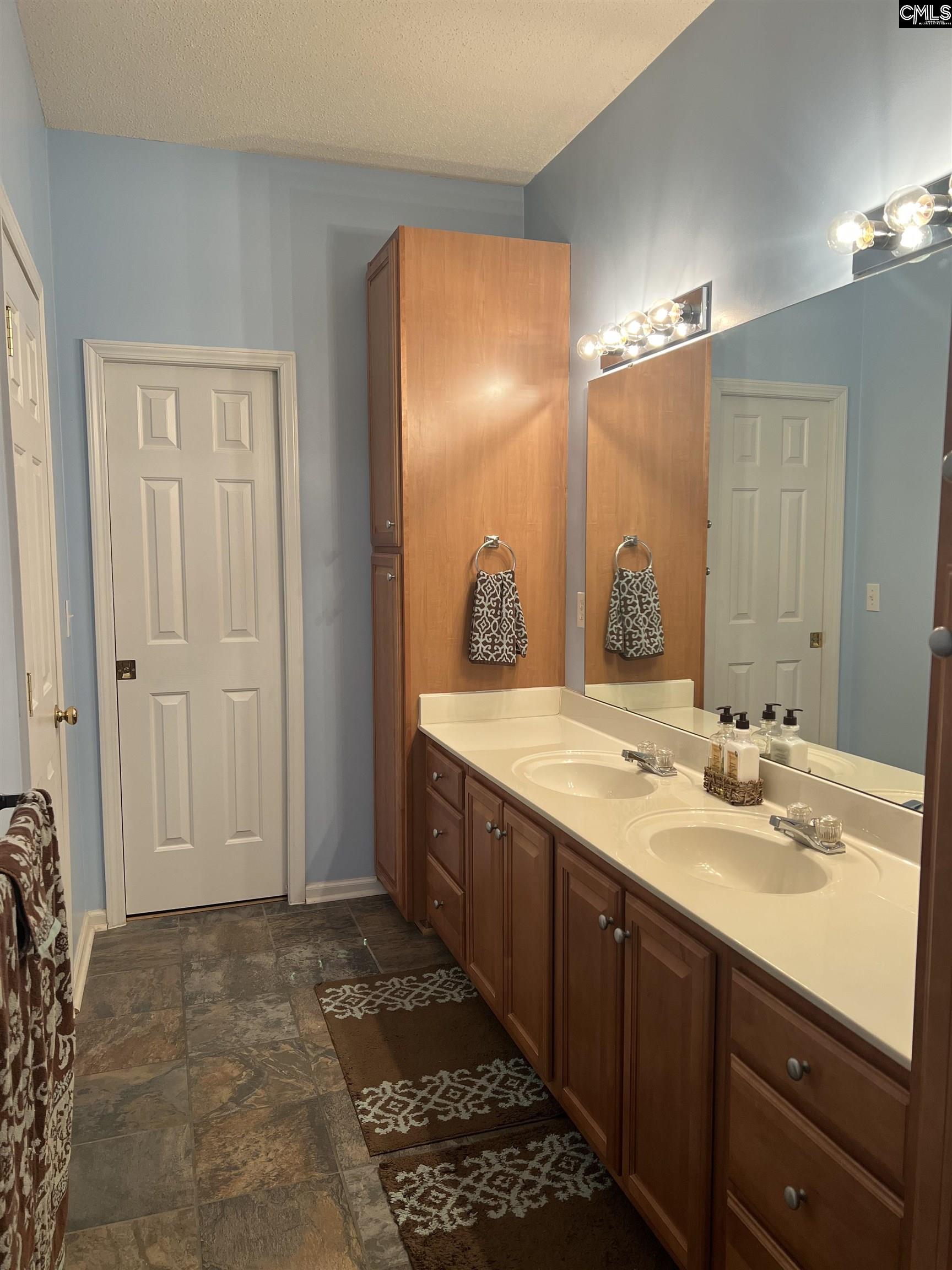 217 Hollingshed Creek Blvd Irmo, SC 29063