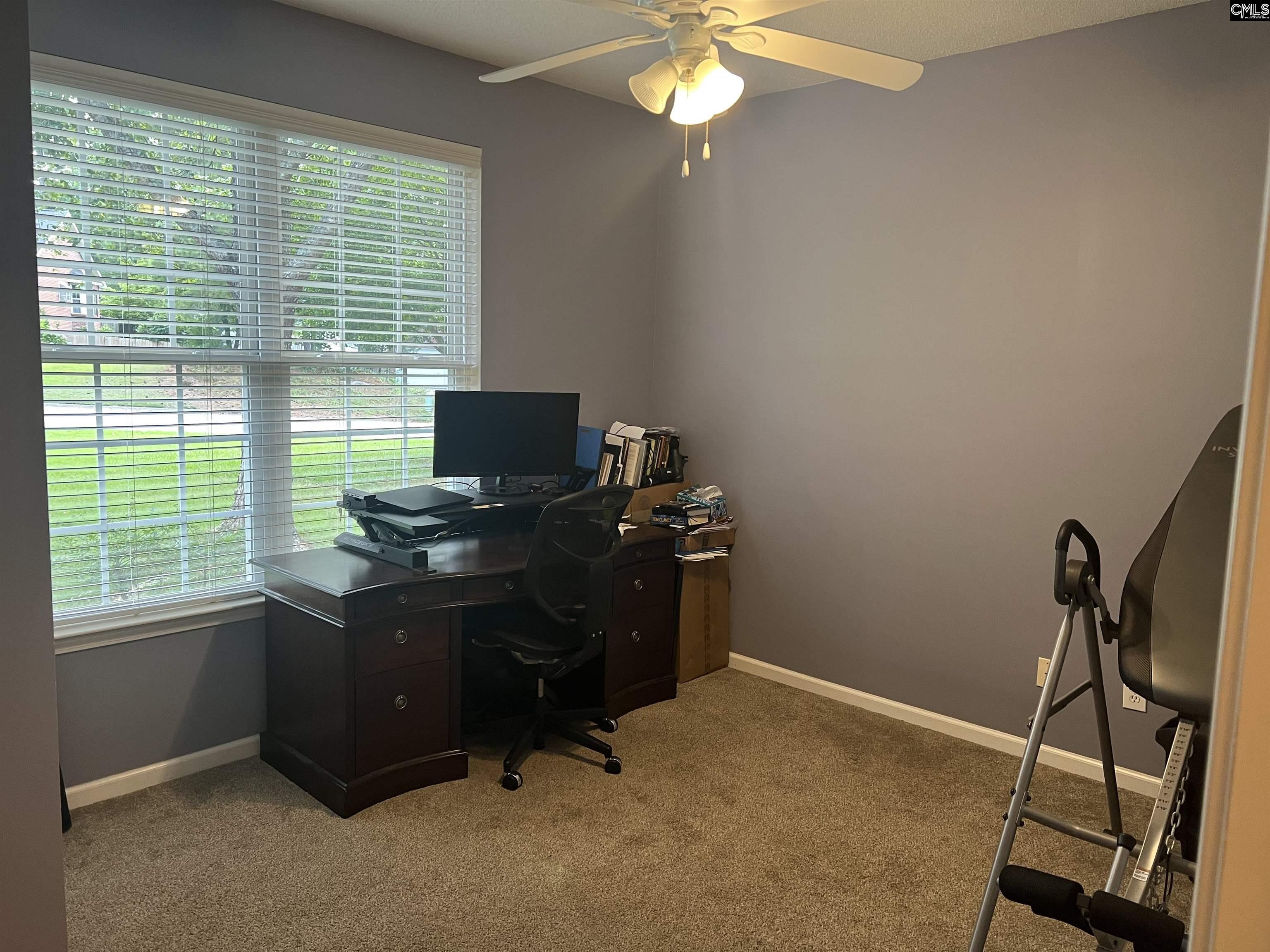 217 Hollingshed Creek Blvd Irmo, SC 29063