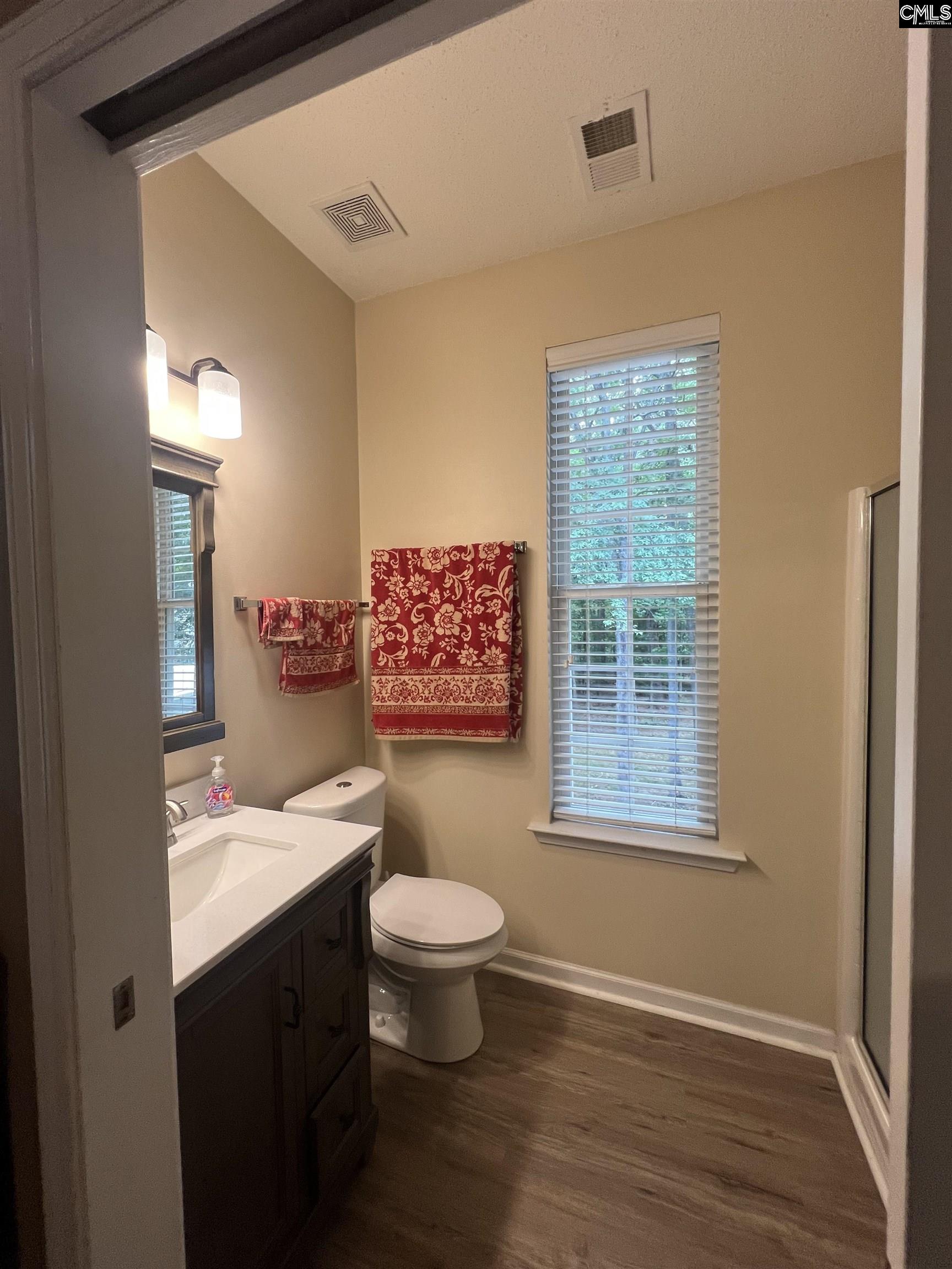 217 Hollingshed Creek Blvd Irmo, SC 29063