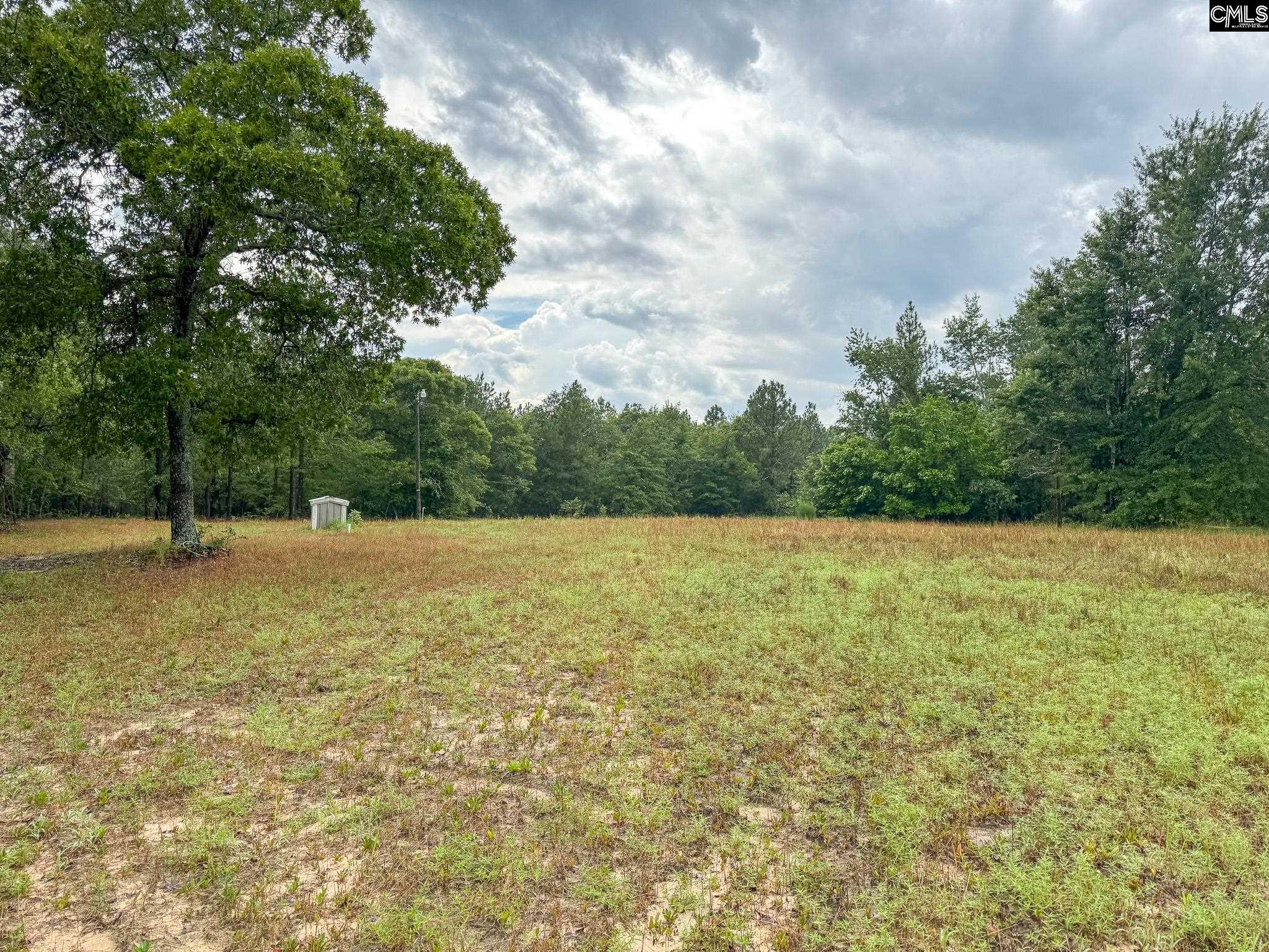 165 Carlton Drive Batesburg, SC 29006