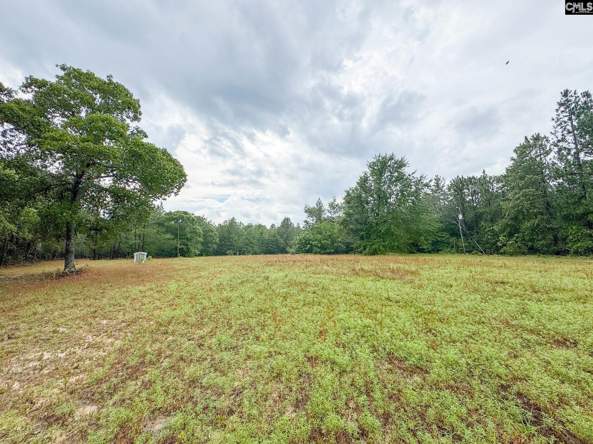 165 Carlton Drive Batesburg, SC 29006