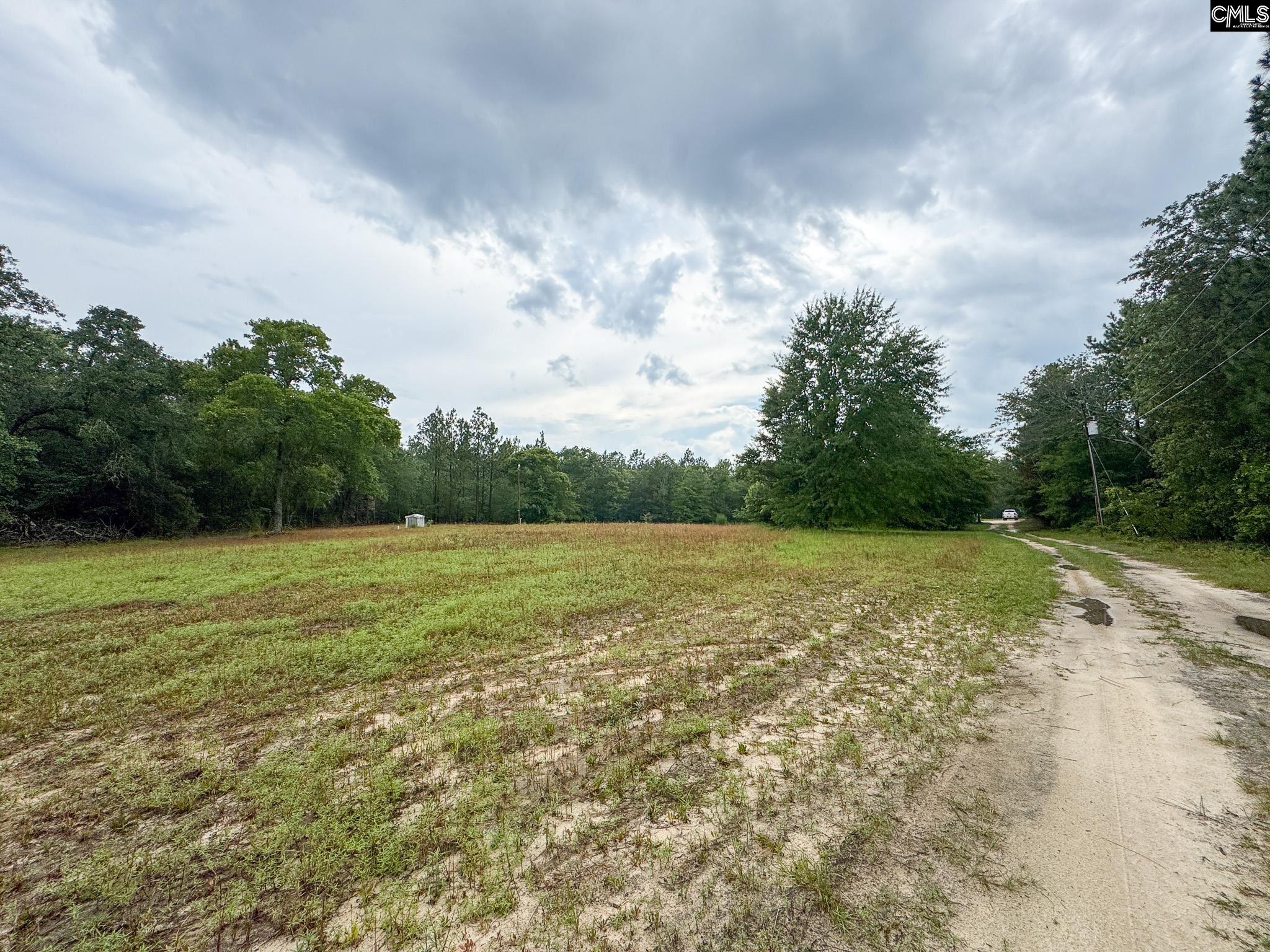 165 Carlton Drive Batesburg, SC 29006